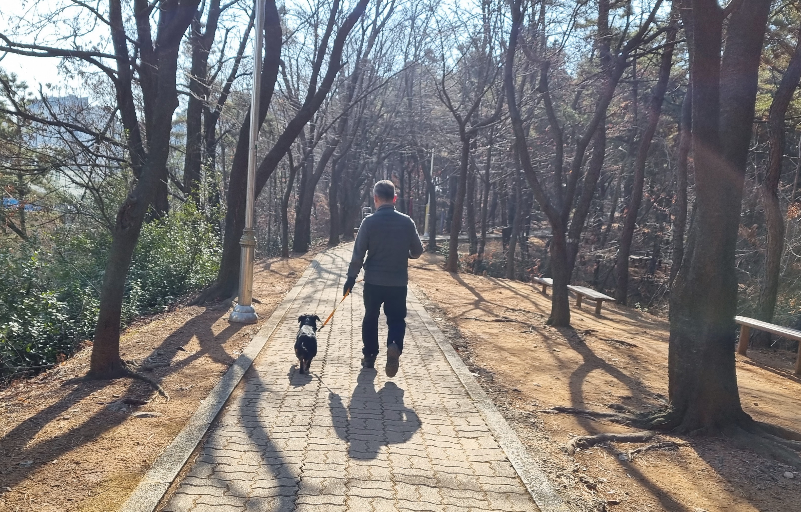 두양이 3개월차 후기입니다 