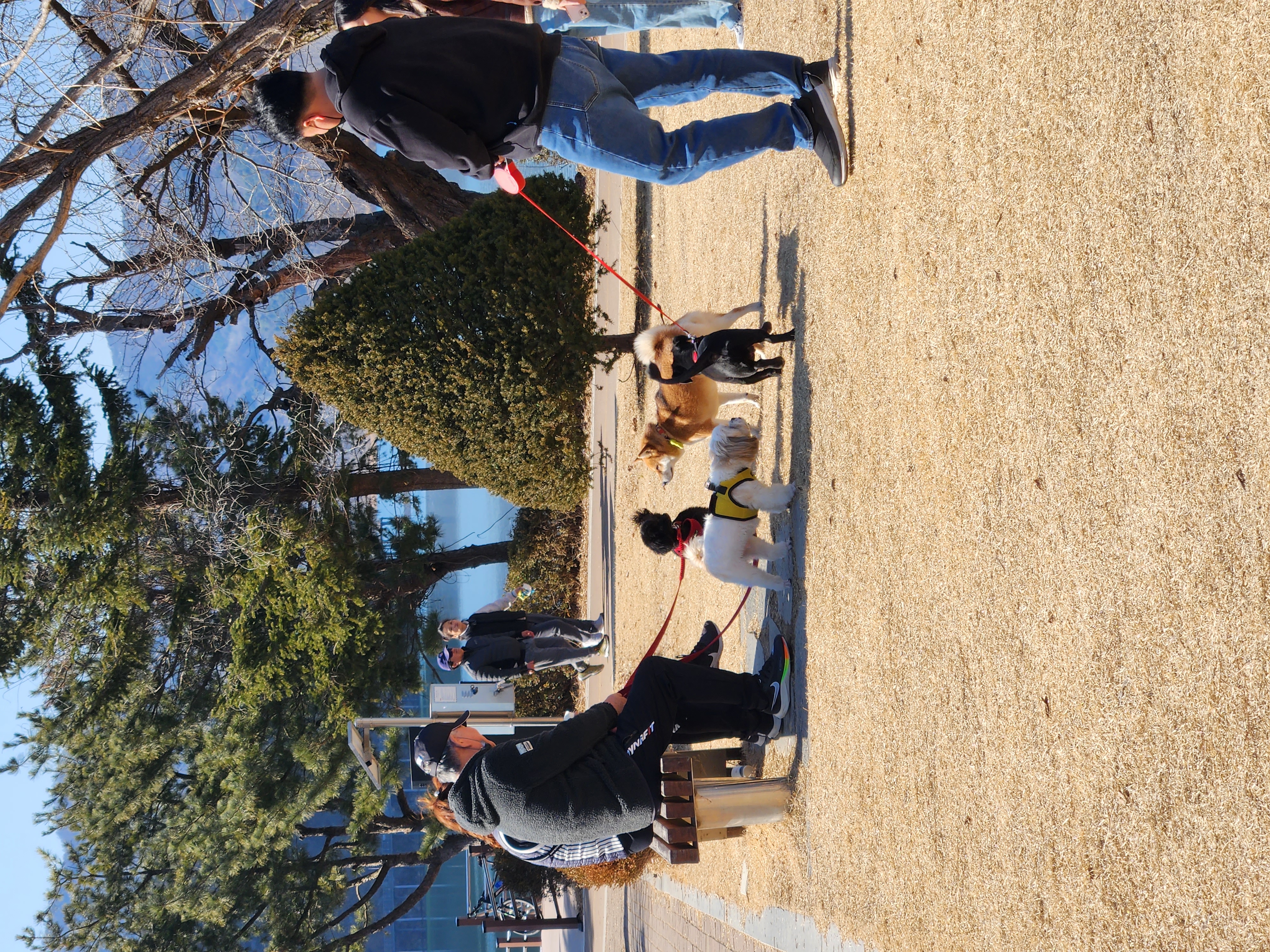 까미(반양이)  10개월 일상