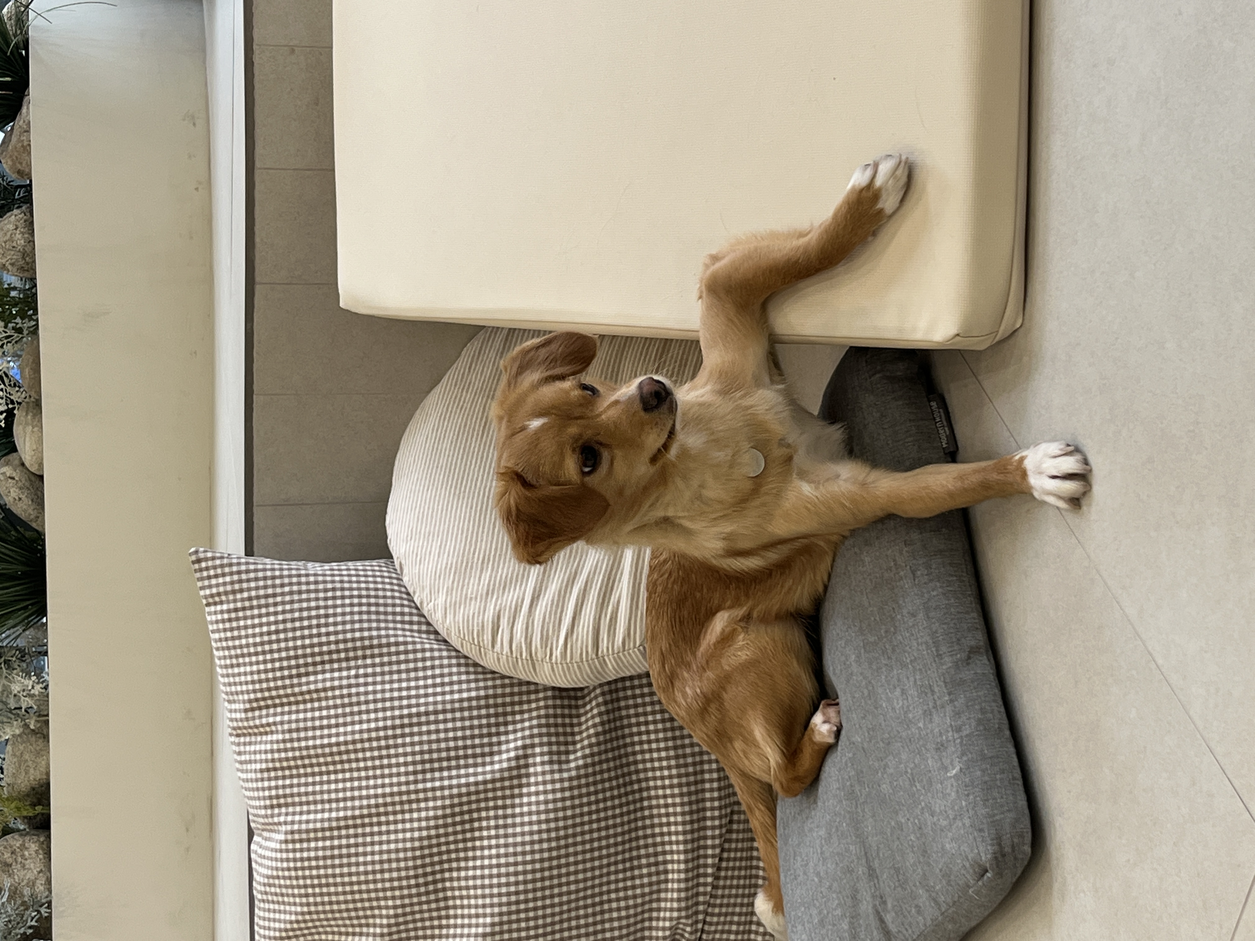 뽀또(이포)의 행복한 막내일기 <2>