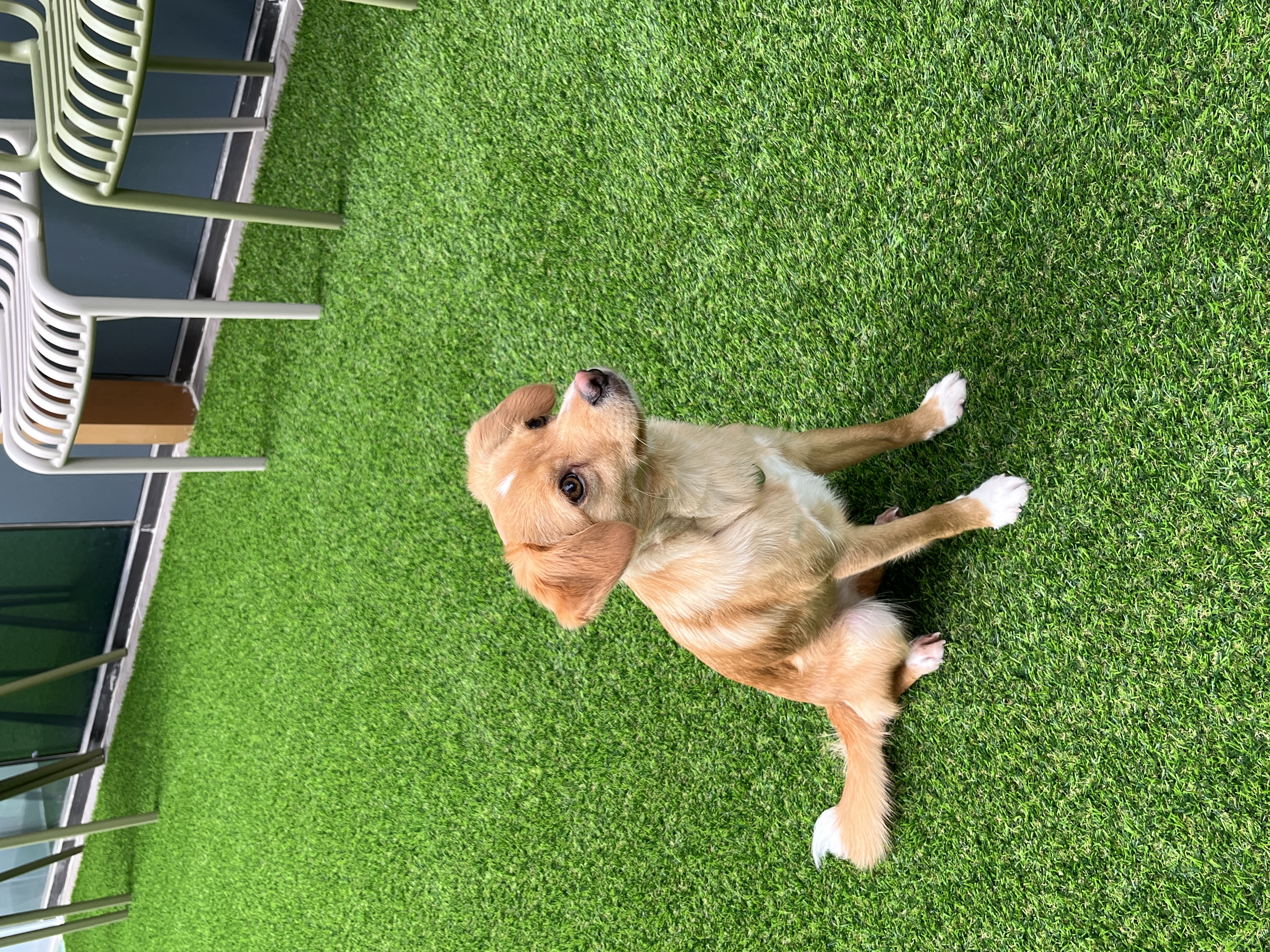 뽀또(이포)의 행복한 막내일기 <2>