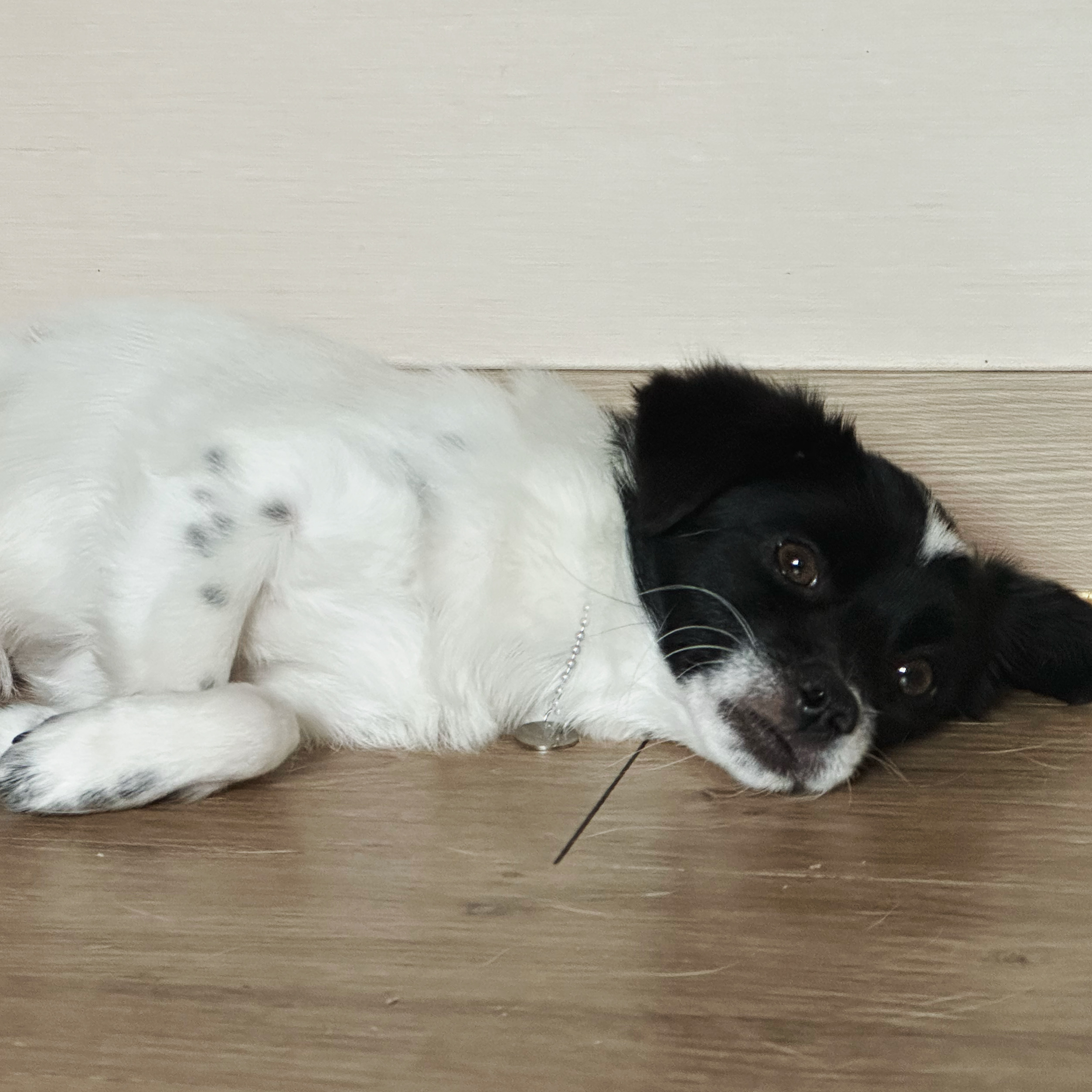 다온이(루루) 한 달 째 :)