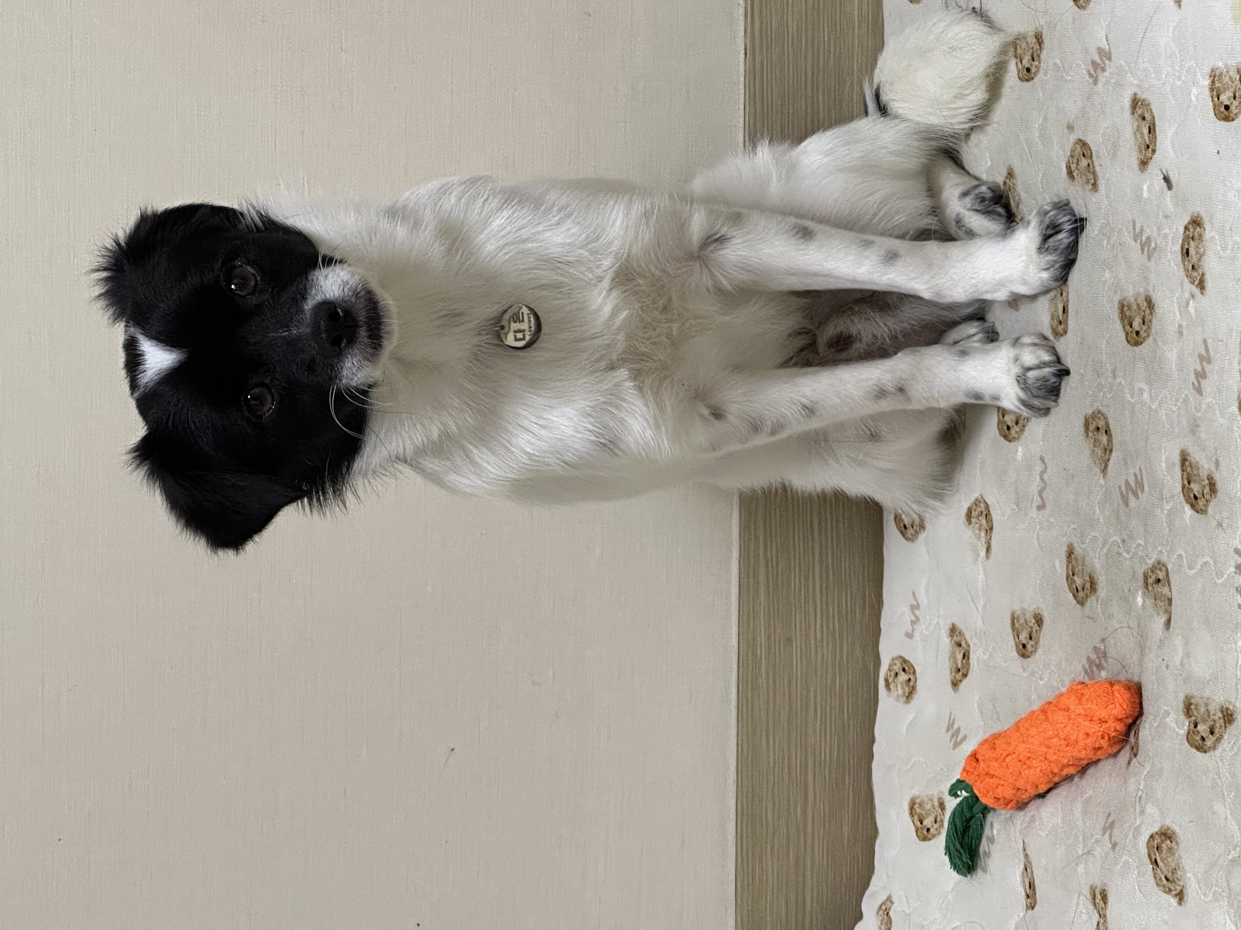 다온이(루루) 한 달 째 :)