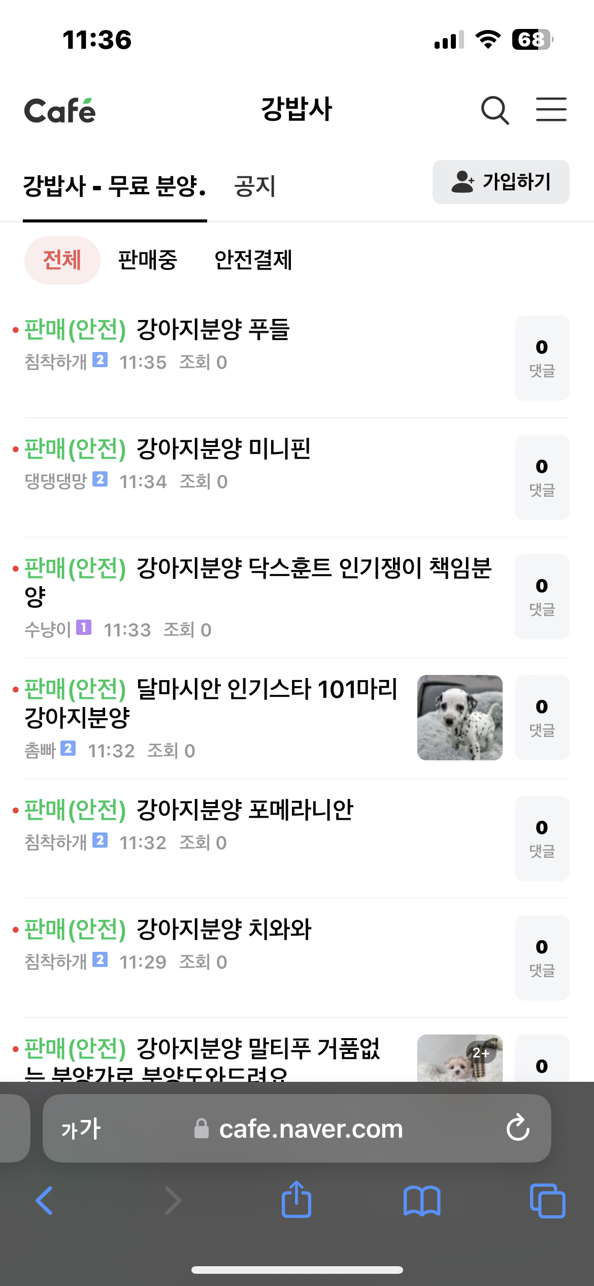 강아지를 중고 판매 광고하고 있습니다. 