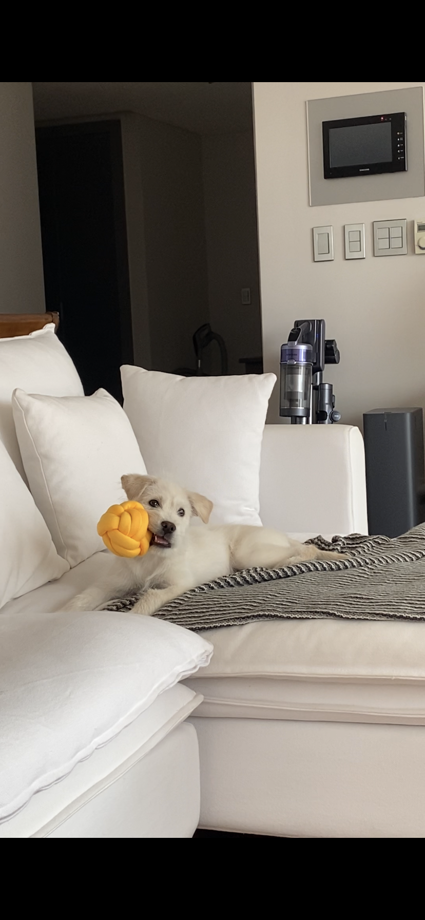 무쵸한테 무쵸버린지 한달째