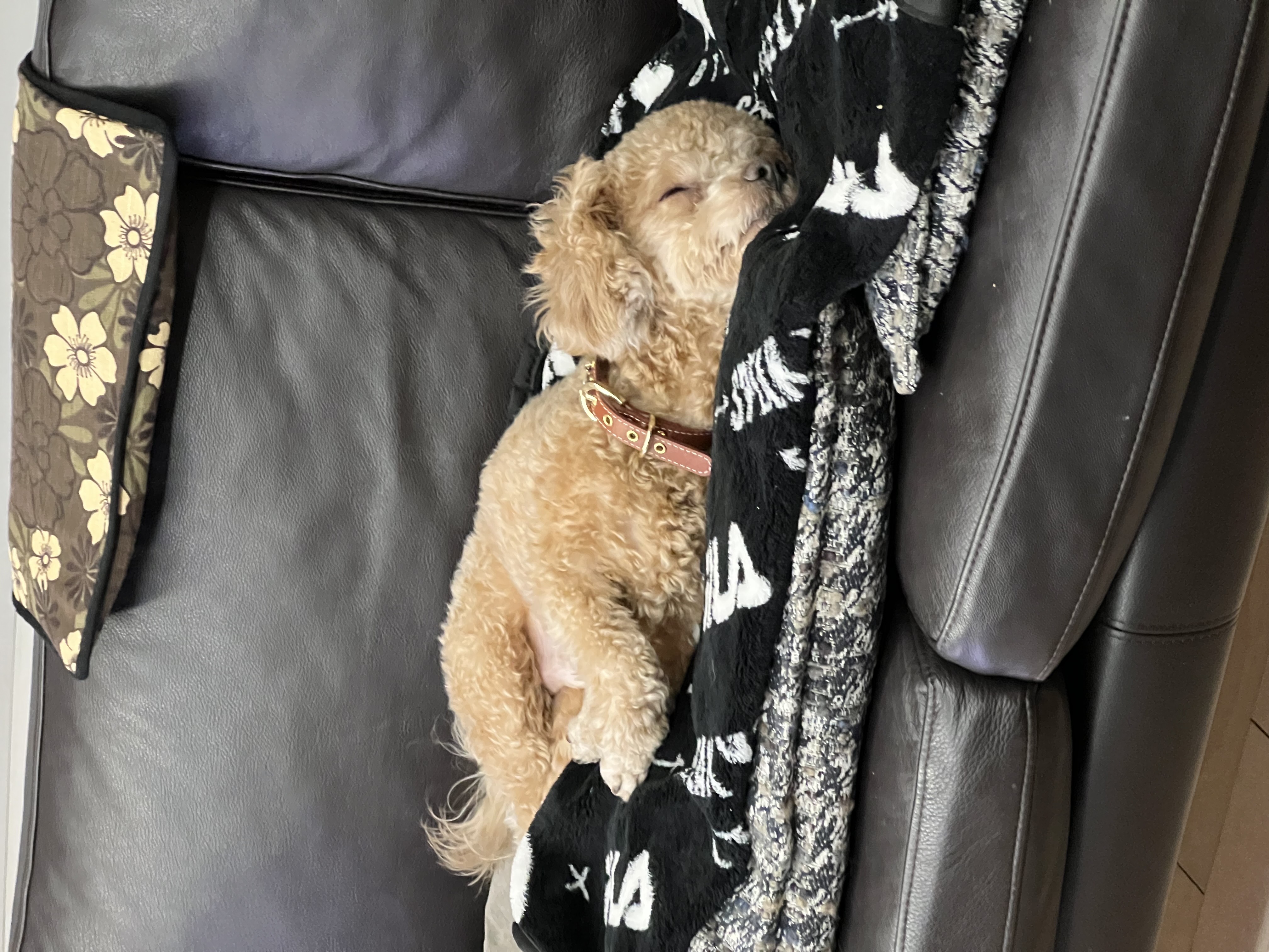 해리 이야기 1달