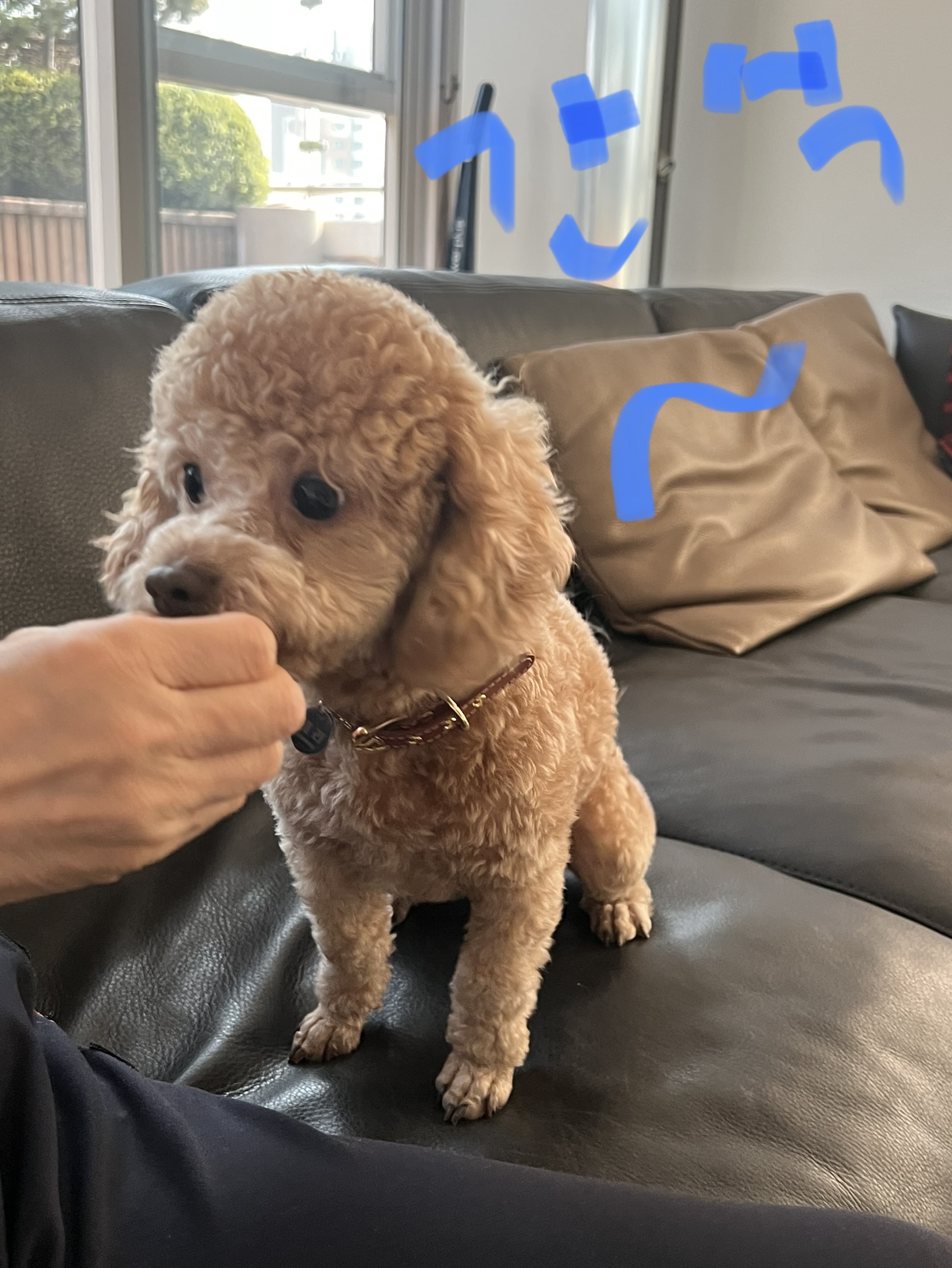 해리 이야기 1달