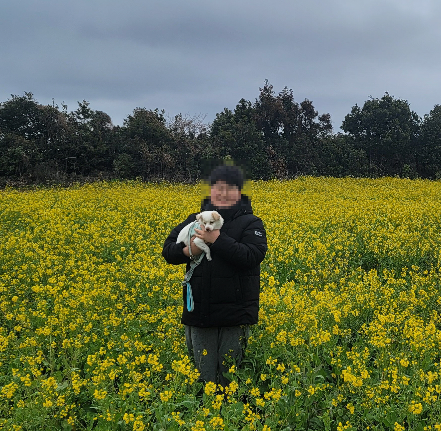 세투(누릉) 입양 3개월 후기입니다.