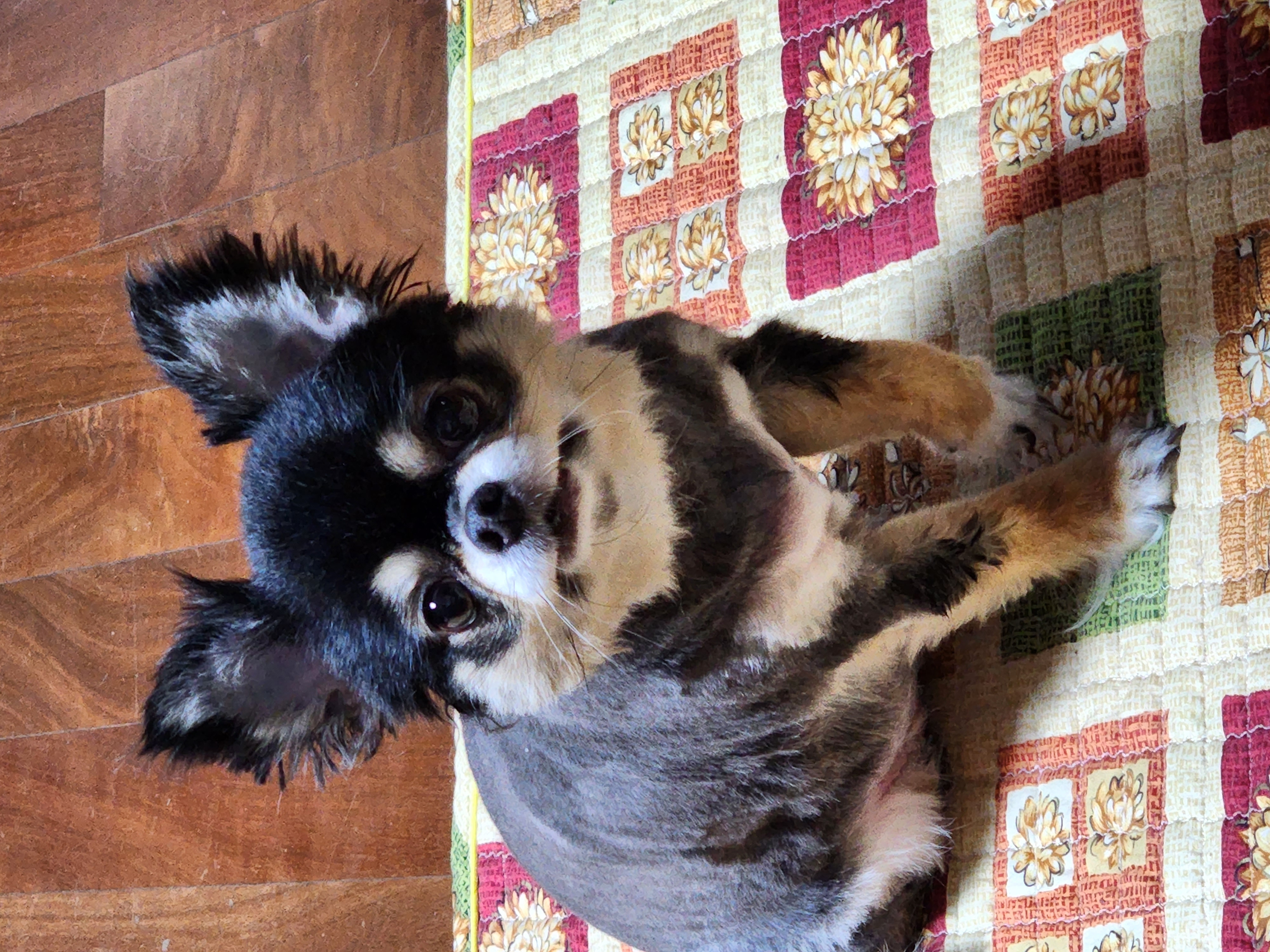 젤리 잘 있어요~~