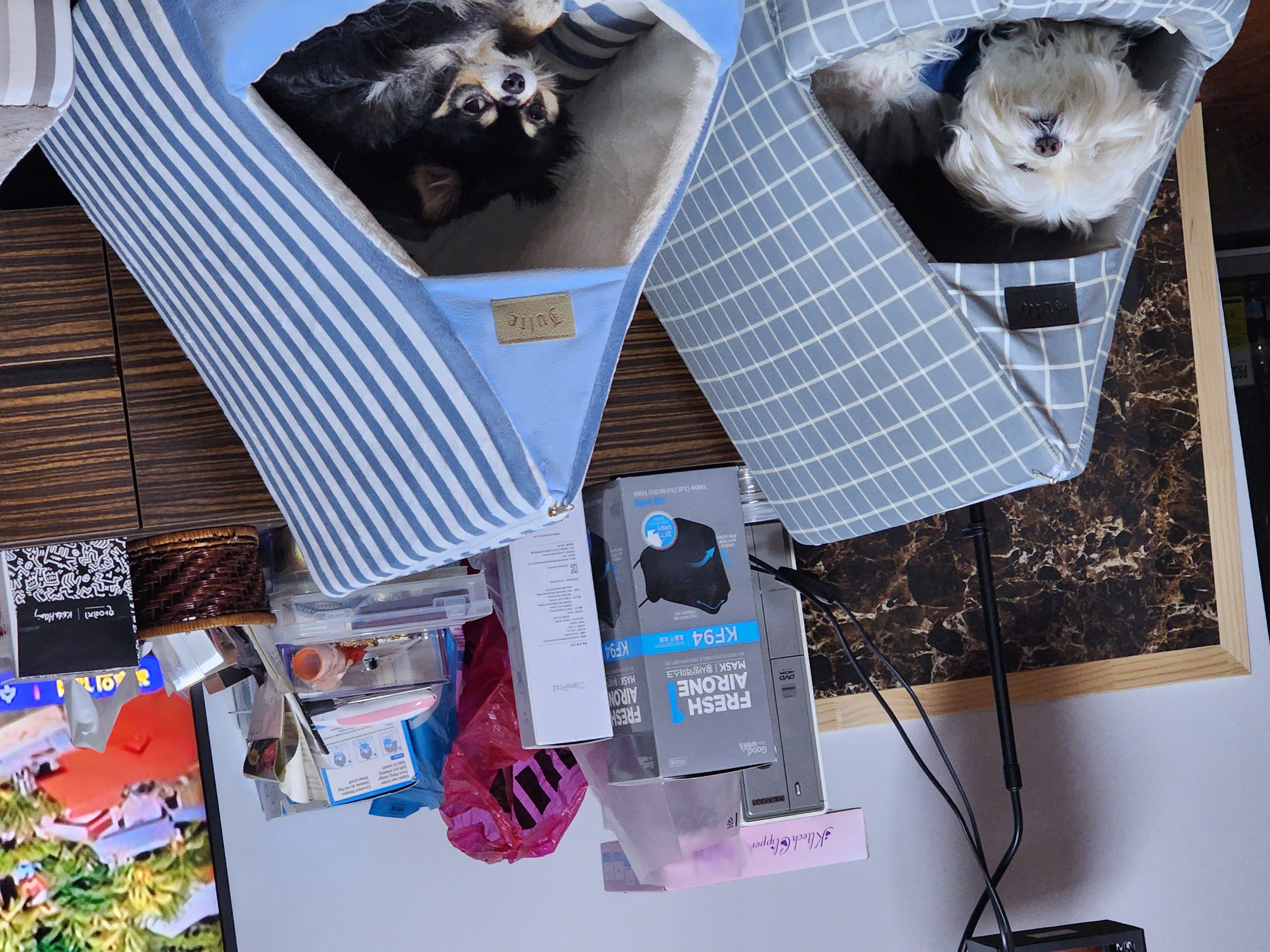 젤리 잘 있어요~~