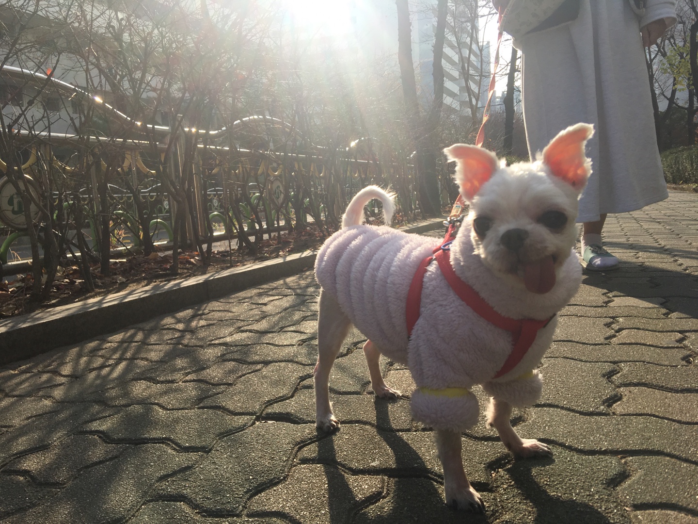 바토는 올해도 건강히 잘 지내고 있어요^^