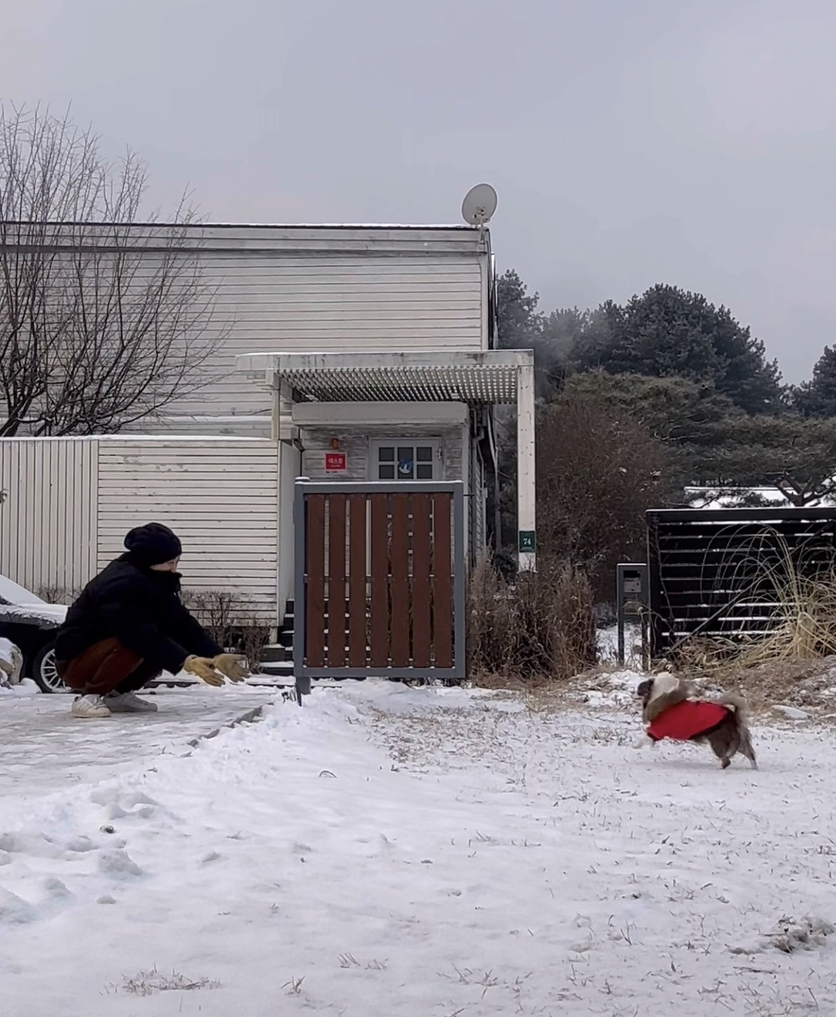 그저께가 멍돌이 입양 4주년이었어요. :)