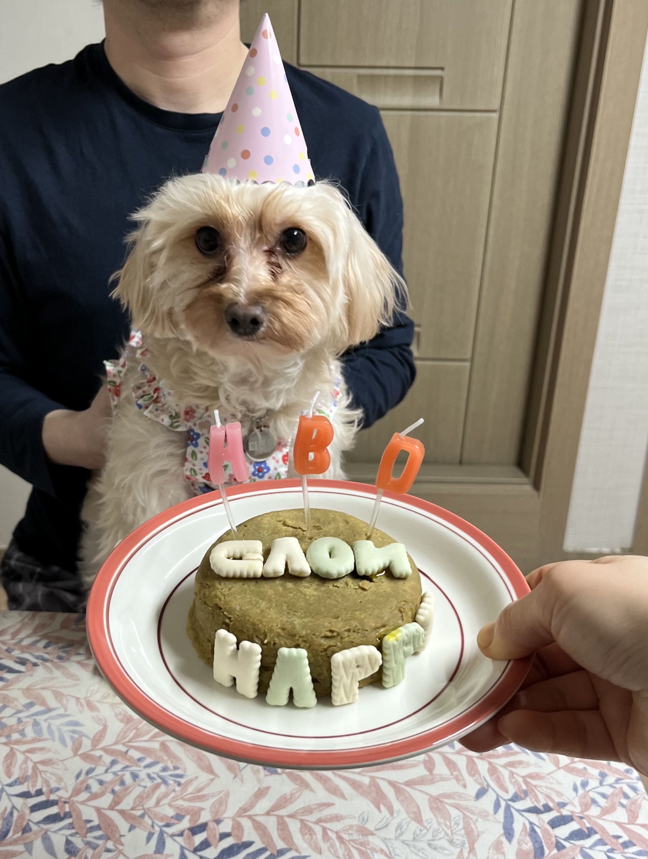 다온이(비비)와 1년