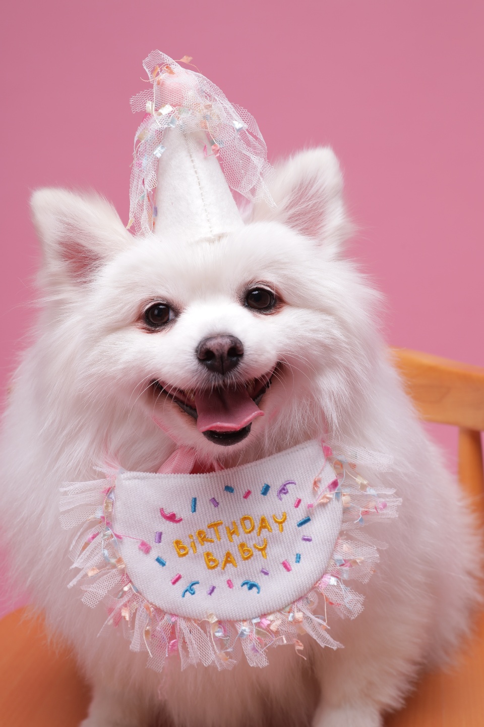 별이(구,영천꽃별이 )소식 알려드려요 ~