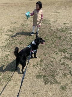 아투(제다이) 입양 4.5년차입니다!! 