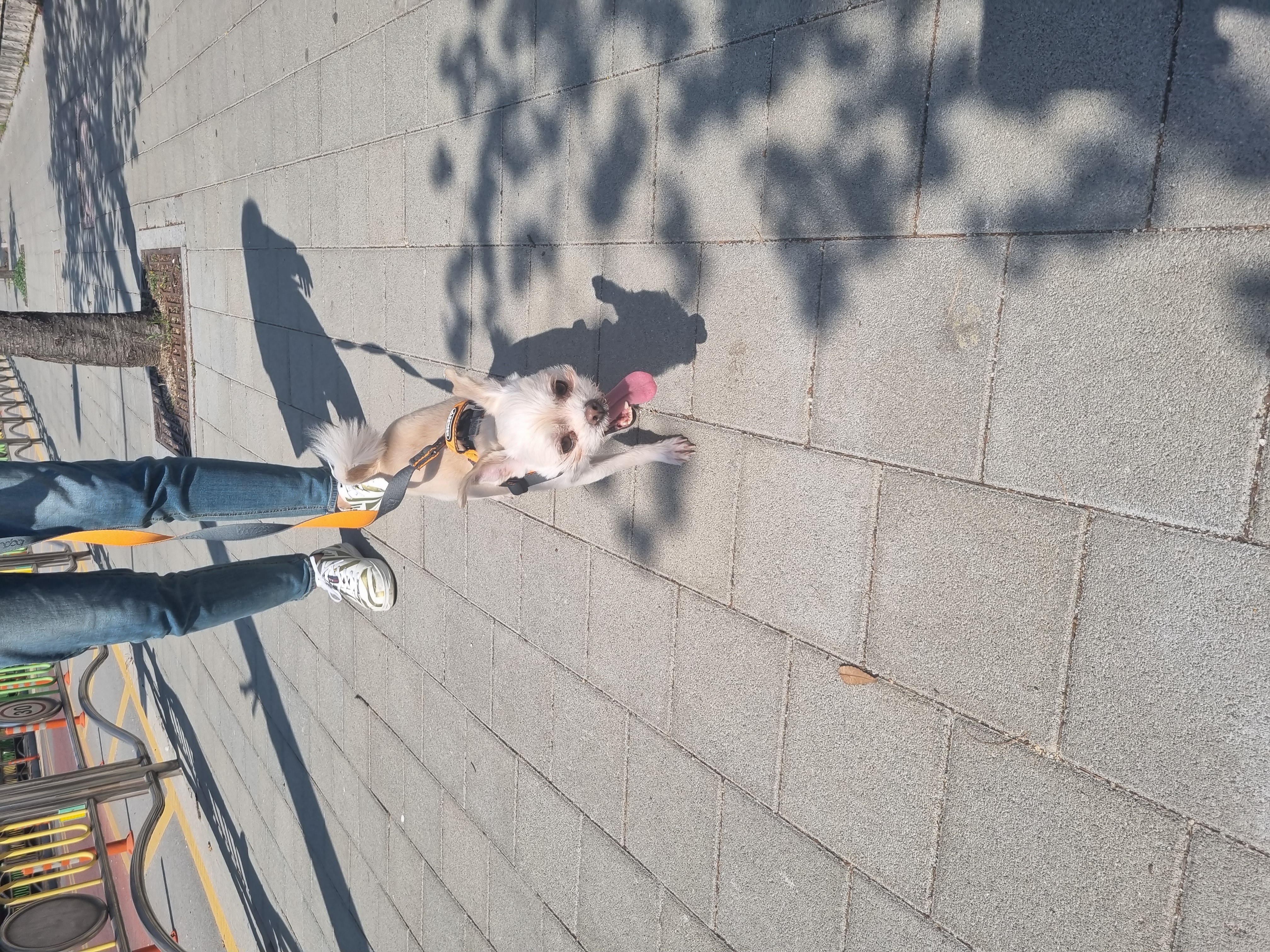 오영이 임보이야기