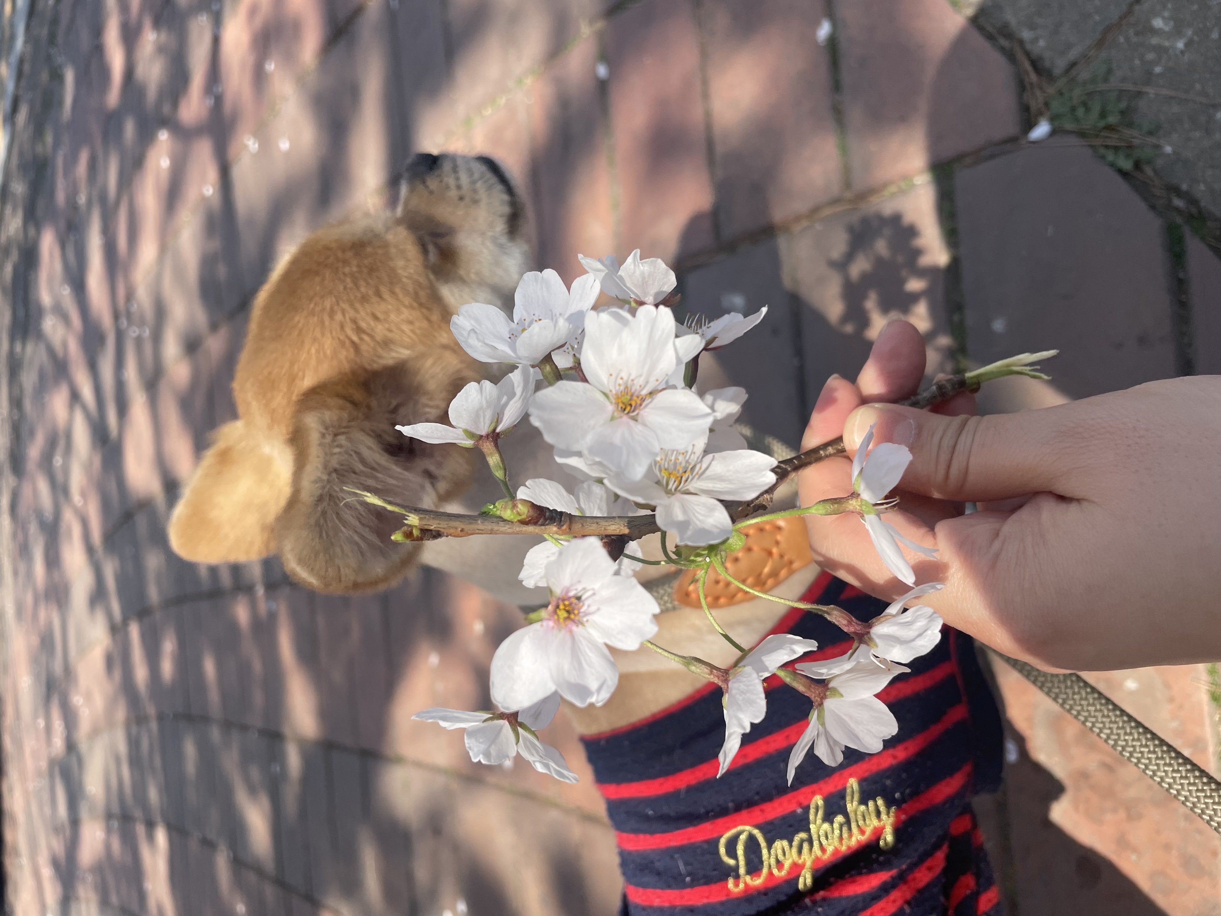 미로(구 오원) 7개월 이야기