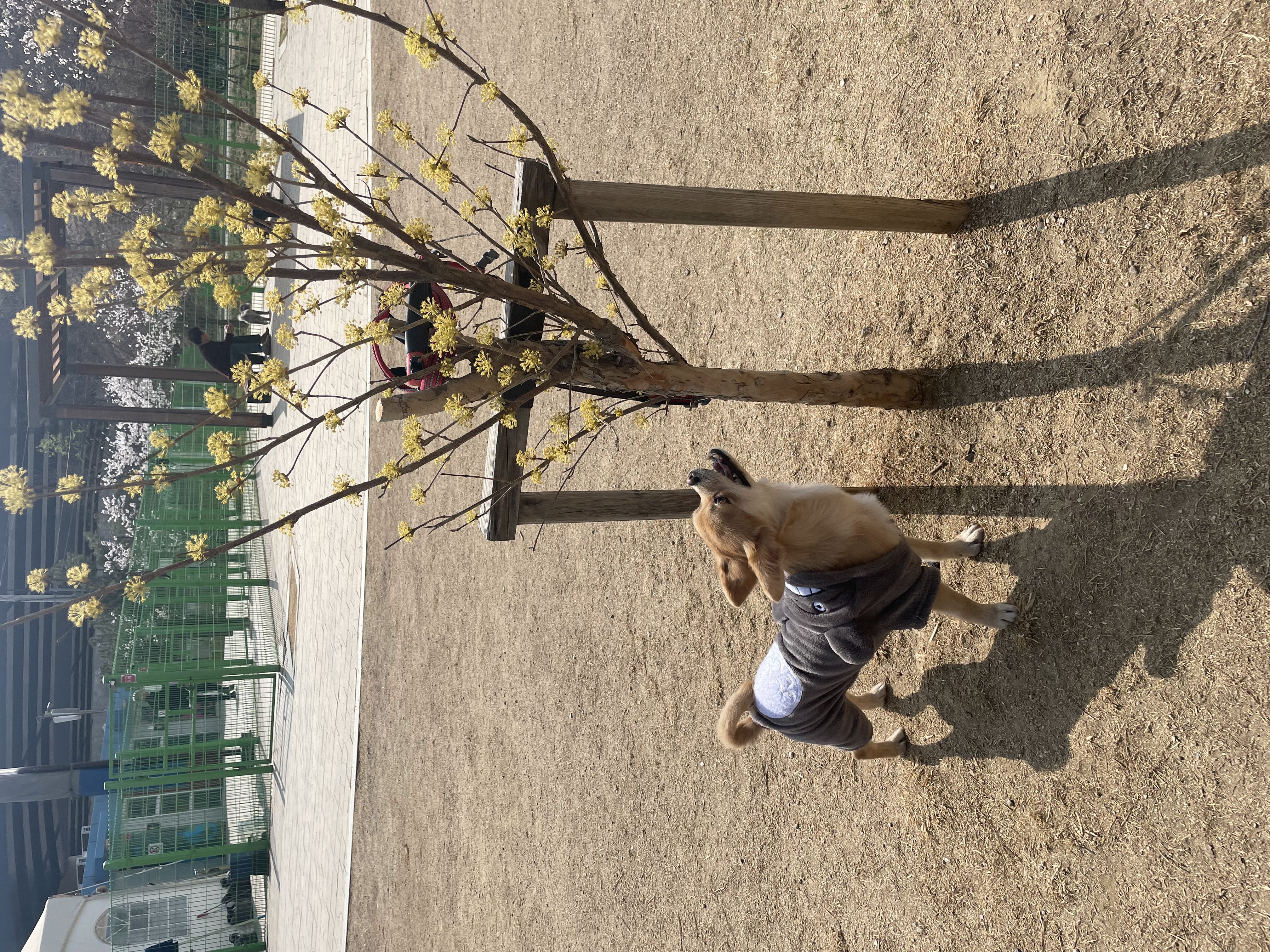 미로(구 오원) 7개월 이야기