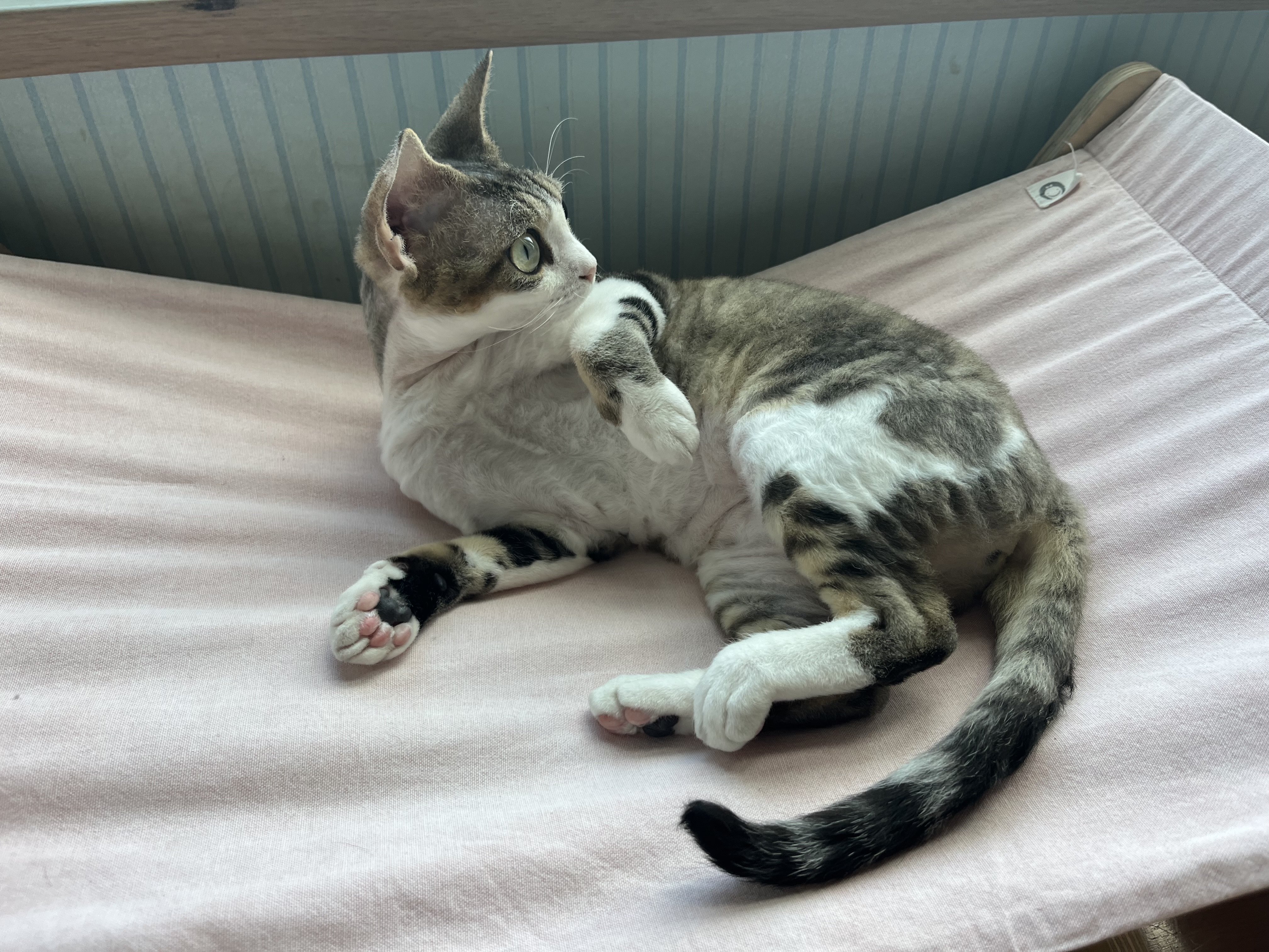 머루가 된 까까의 한달입니다