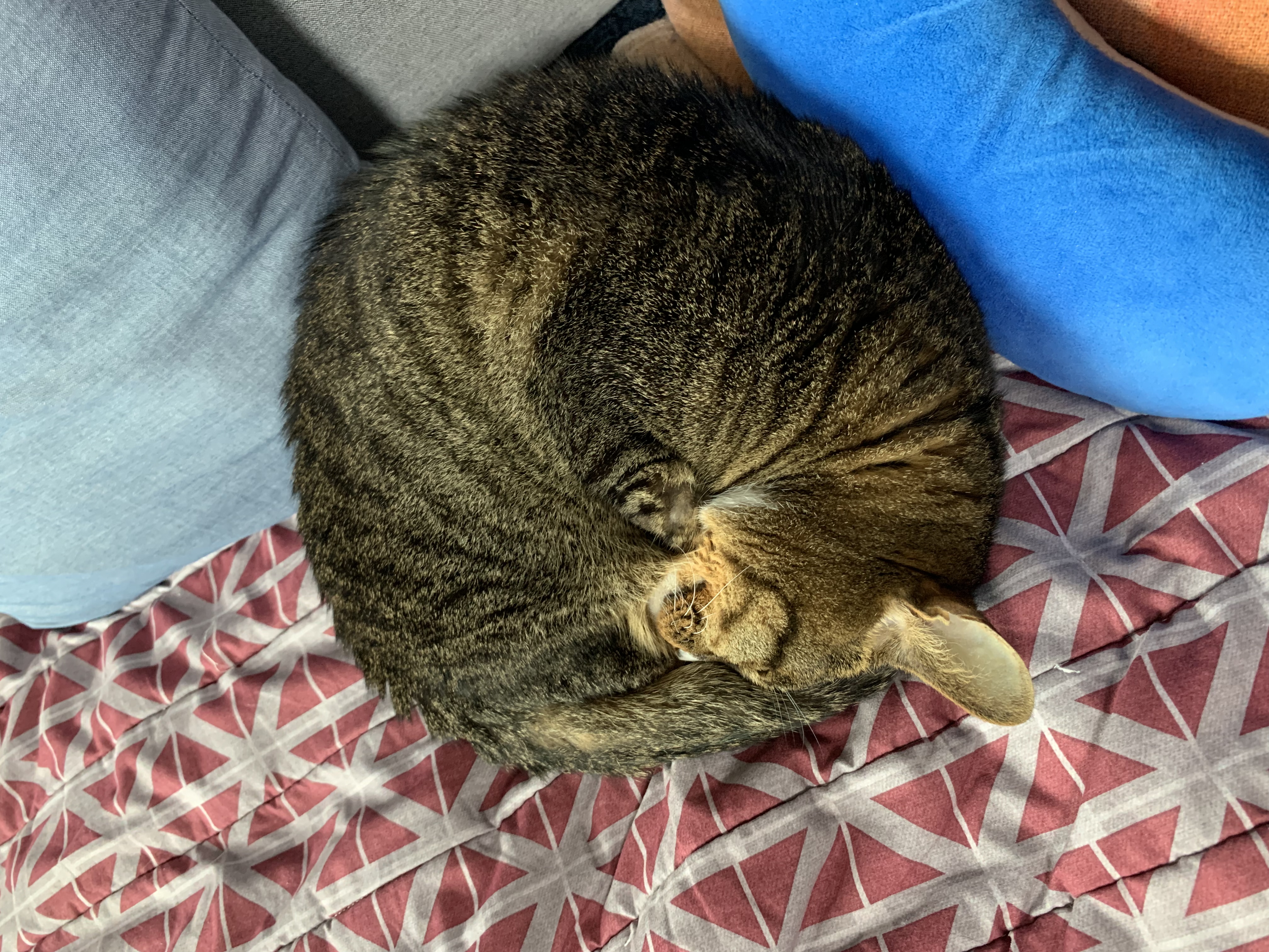 우리가 어떻게 하고 있나 궁금하실까 해서요