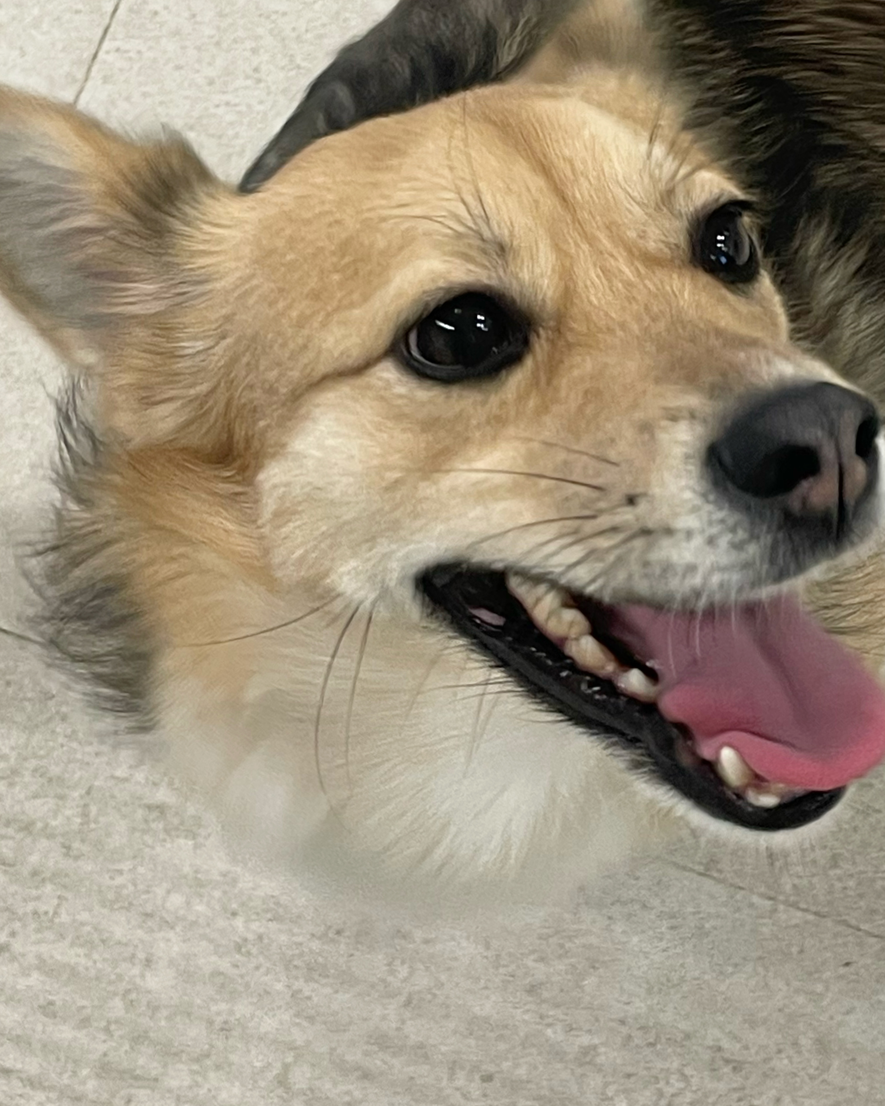 지구와 가족이 되었어요!