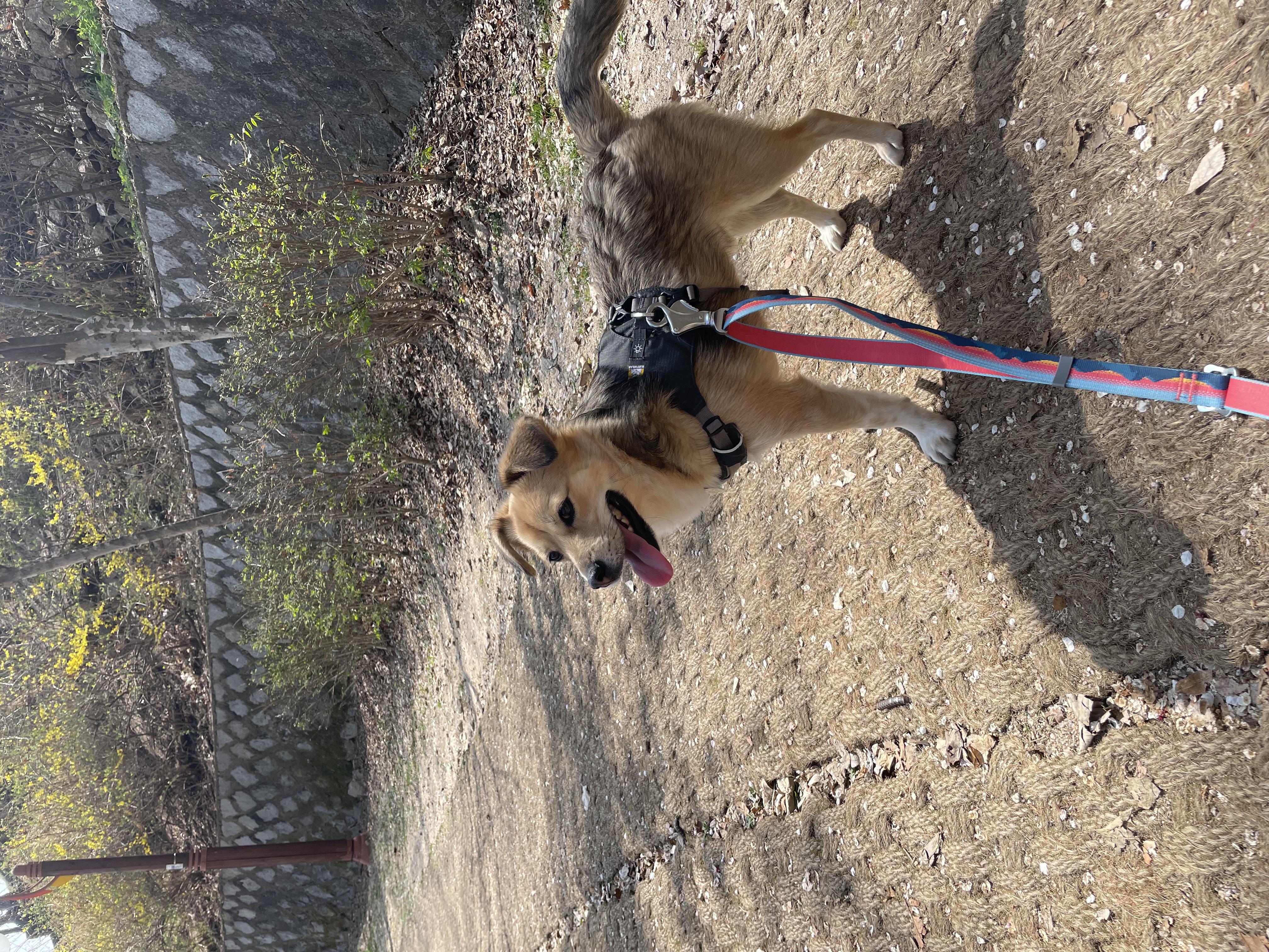 지구와 가족이 되었어요!