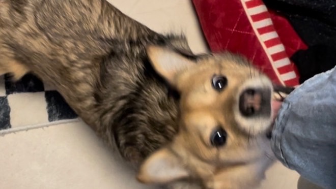 지구와 가족이 되었어요!