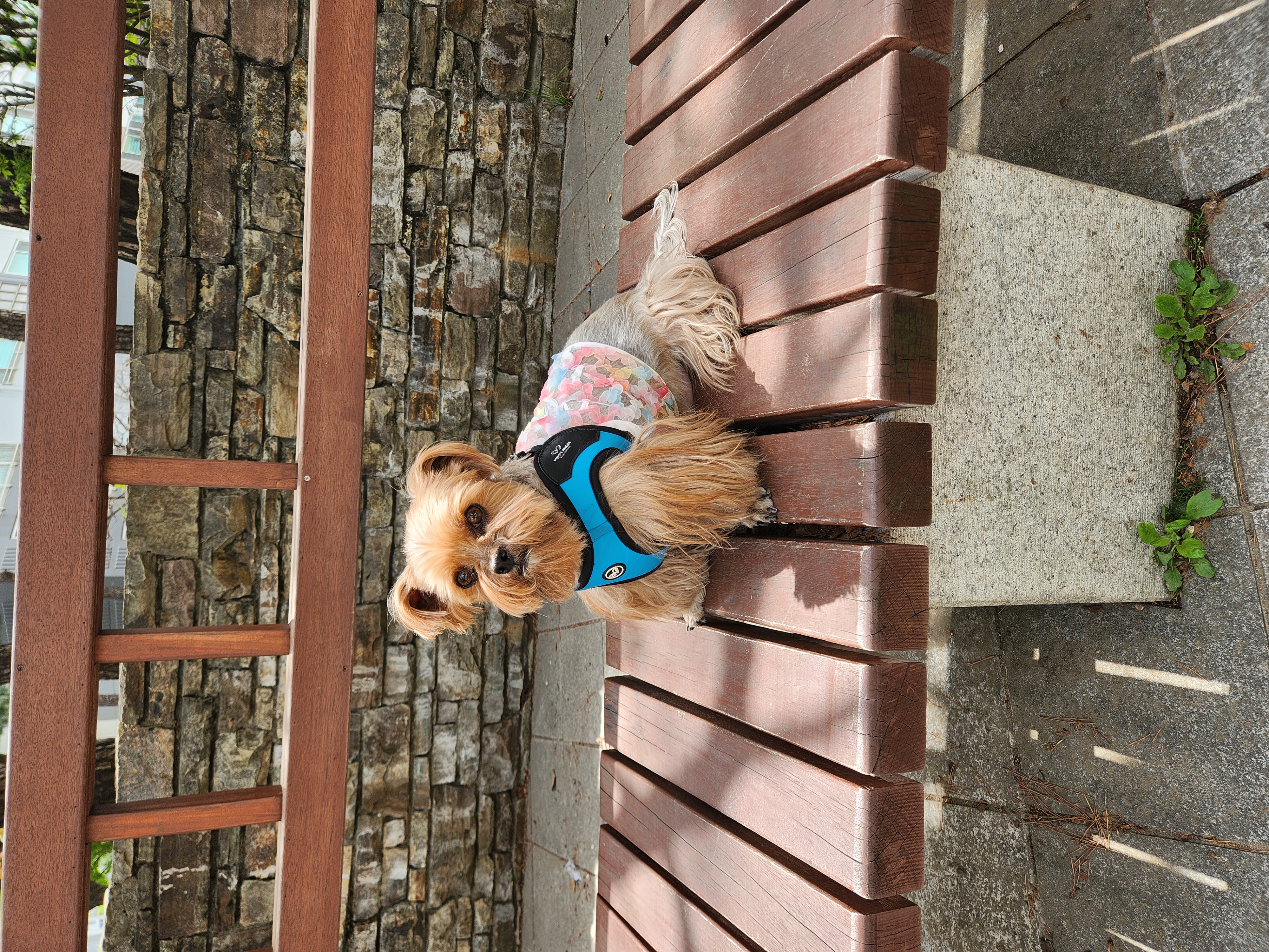 티파니(밤이), 하트(소금이) 소식입니다!