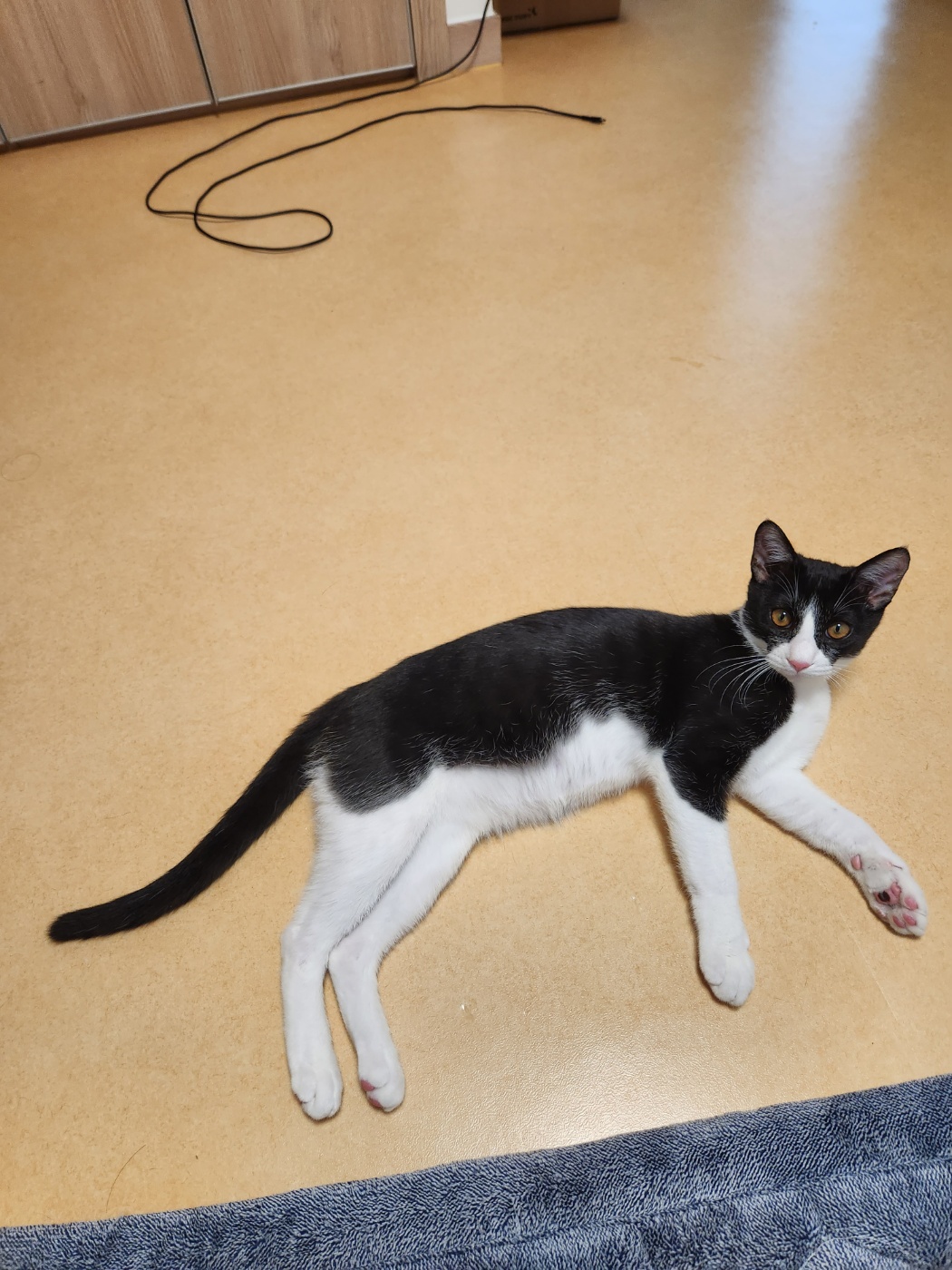 코코(민국이) 3개월후기