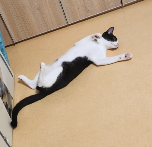 코코(민국이) 3개월후기