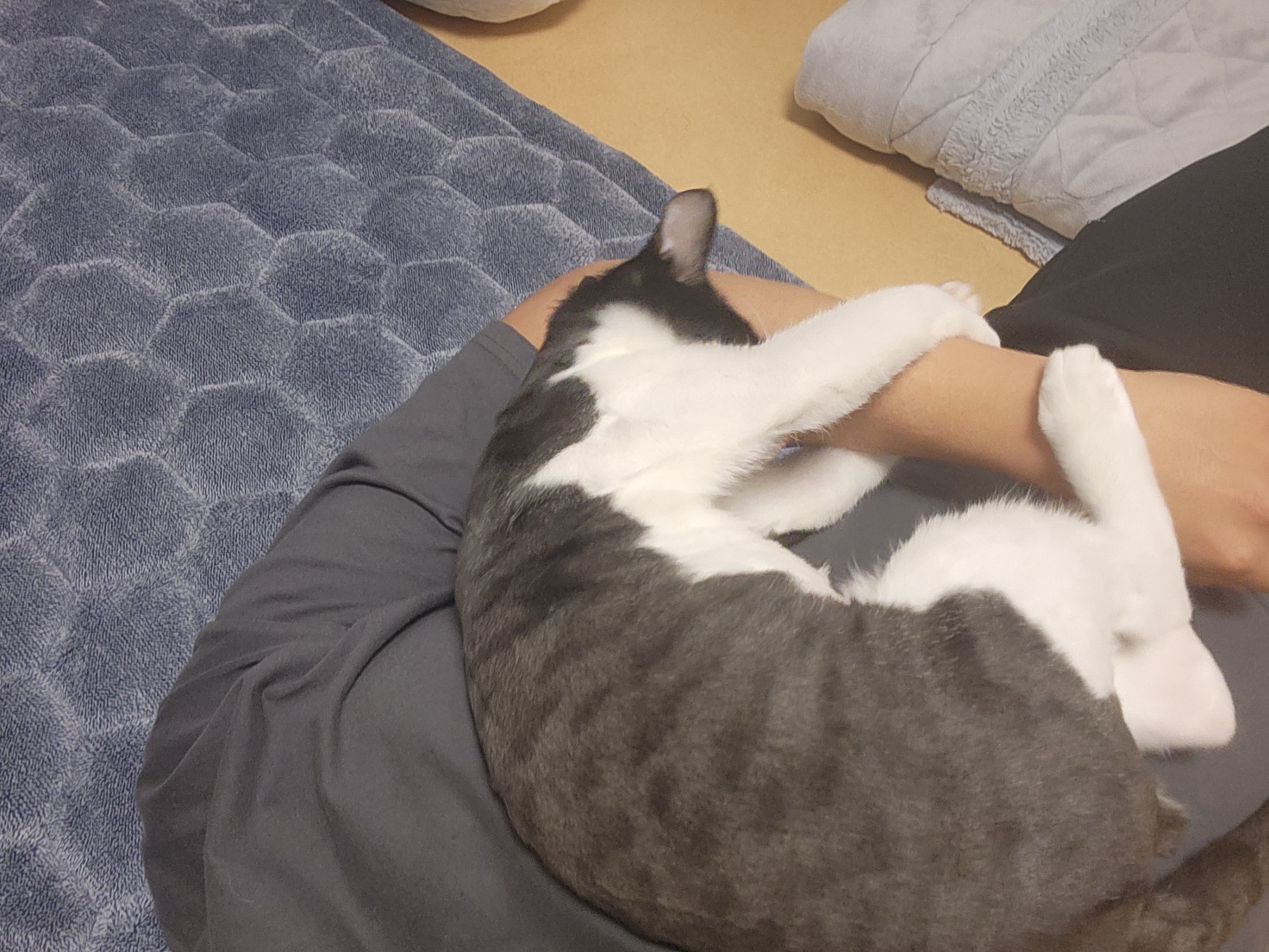 코코(민국이) 3개월후기