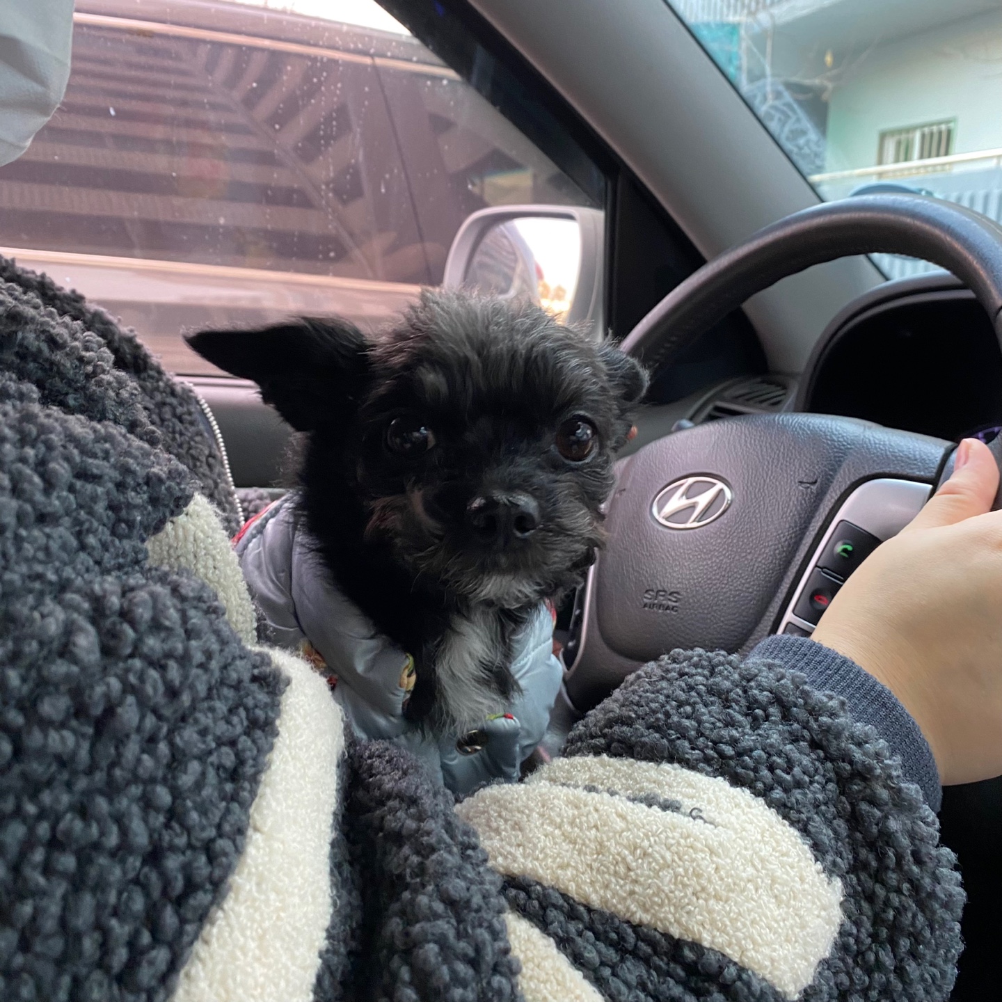 아라와 보낸지 3년이네요