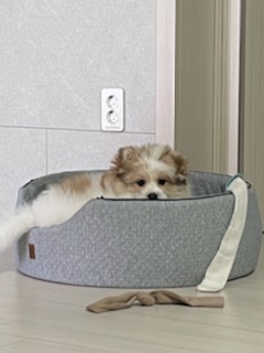 복이(짱무) 잘지내고 있어요~