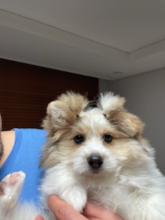 복이(짱무) 잘지내고 있어요~