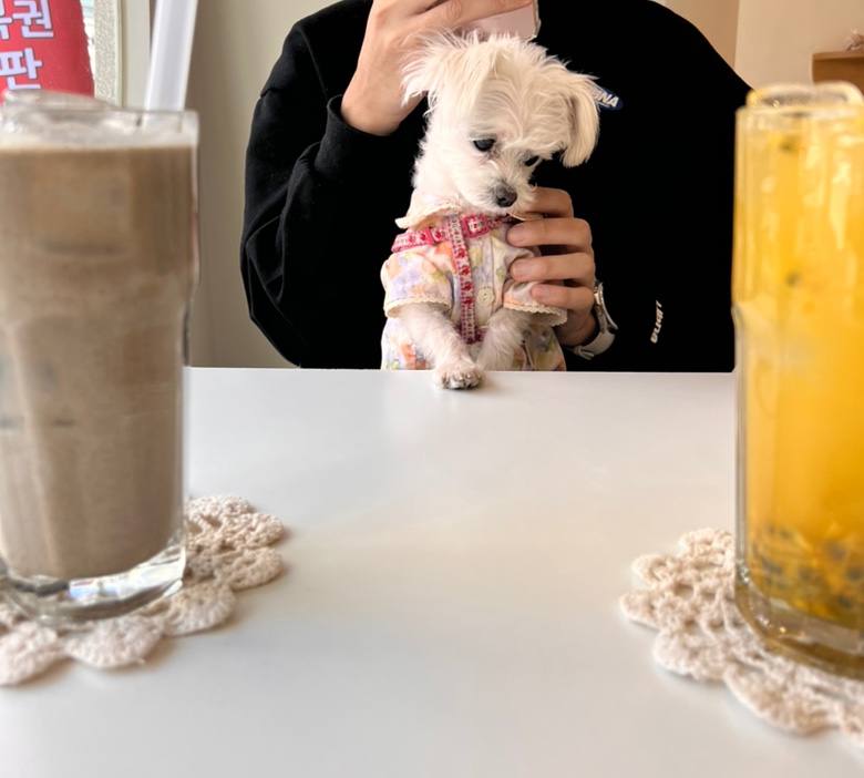 삼원이 (다비)는 많이 활발해졌어요!