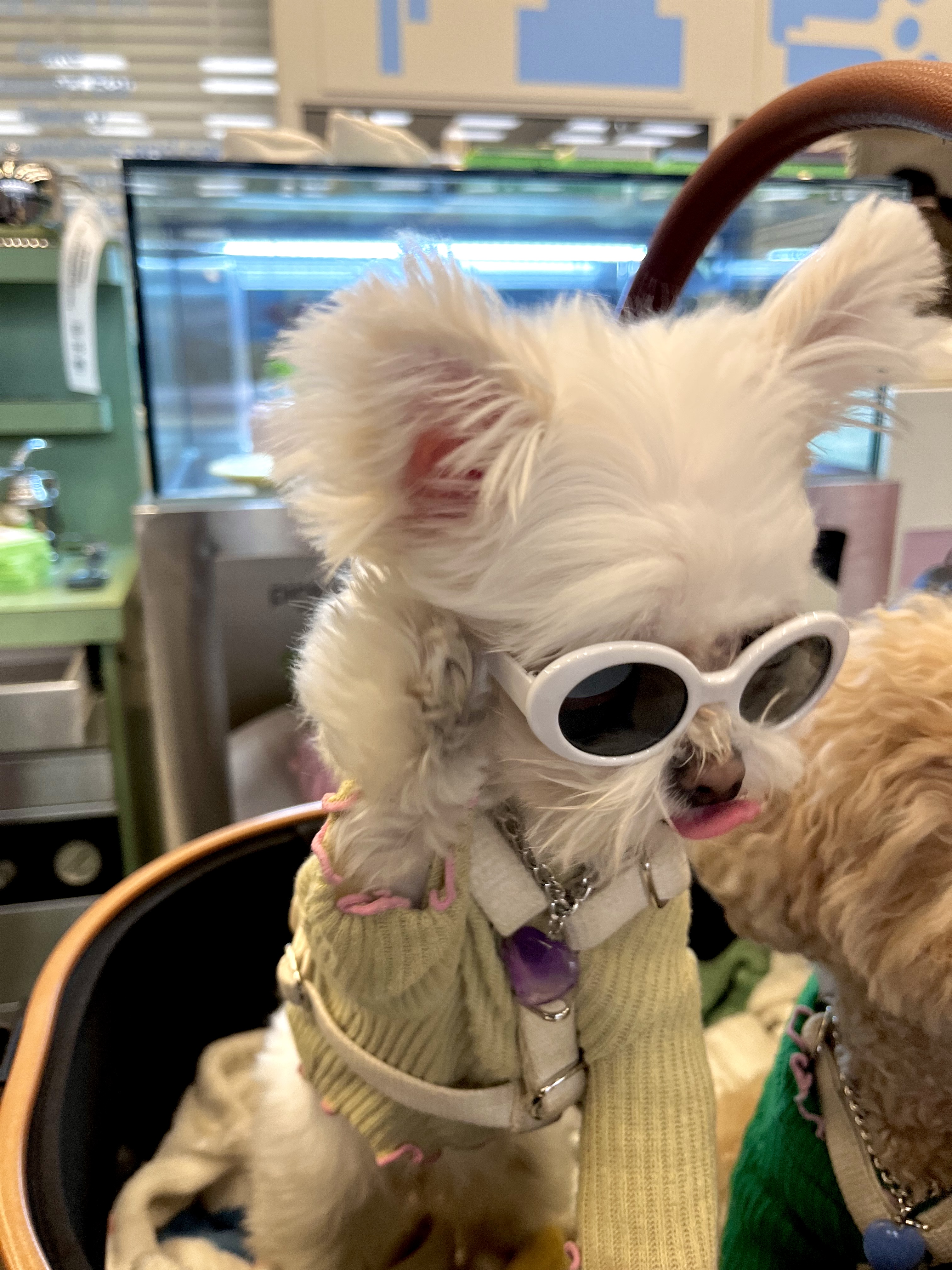 아산 나엘(구 가희)