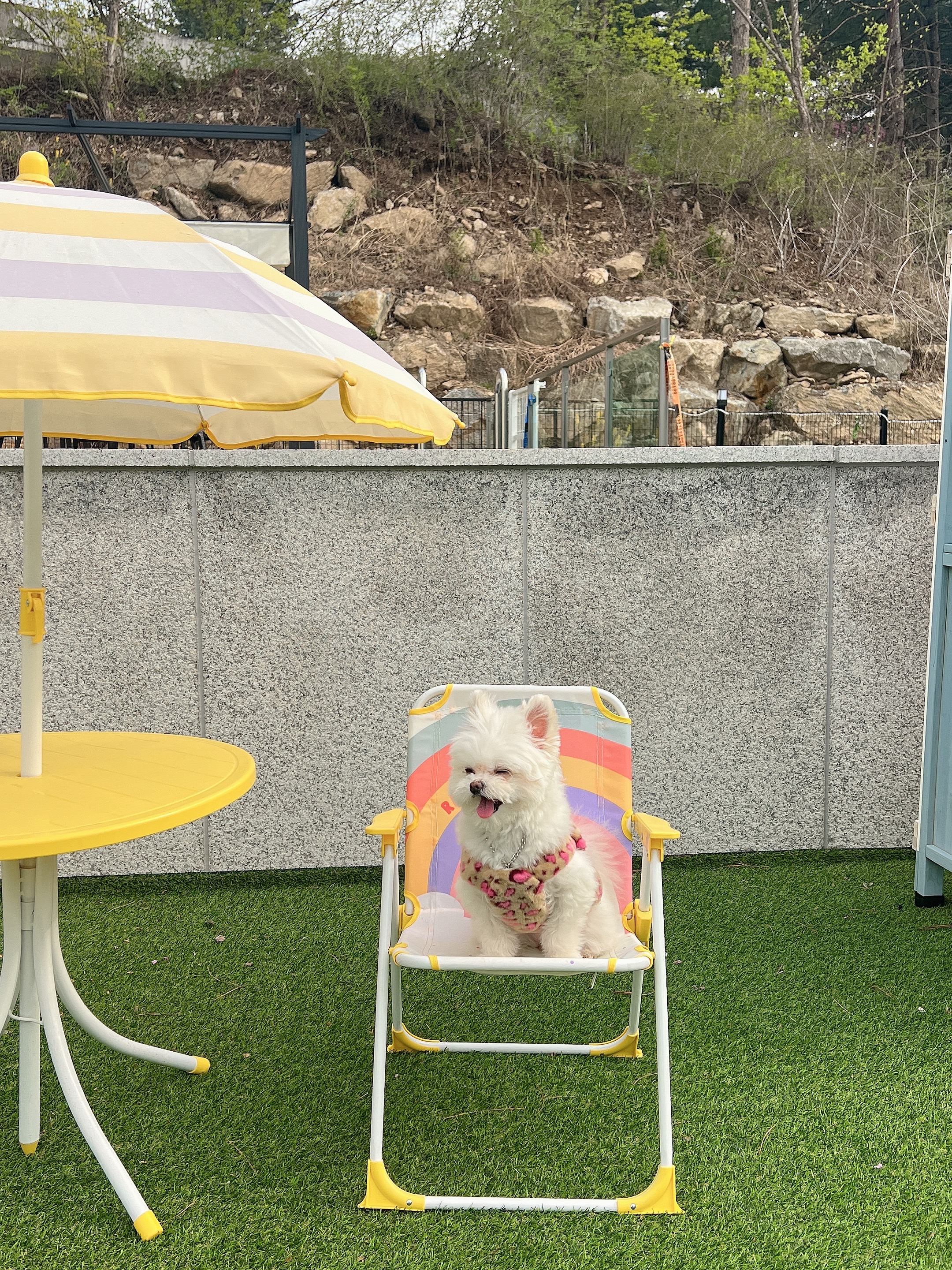 아산 나엘(구 가희)