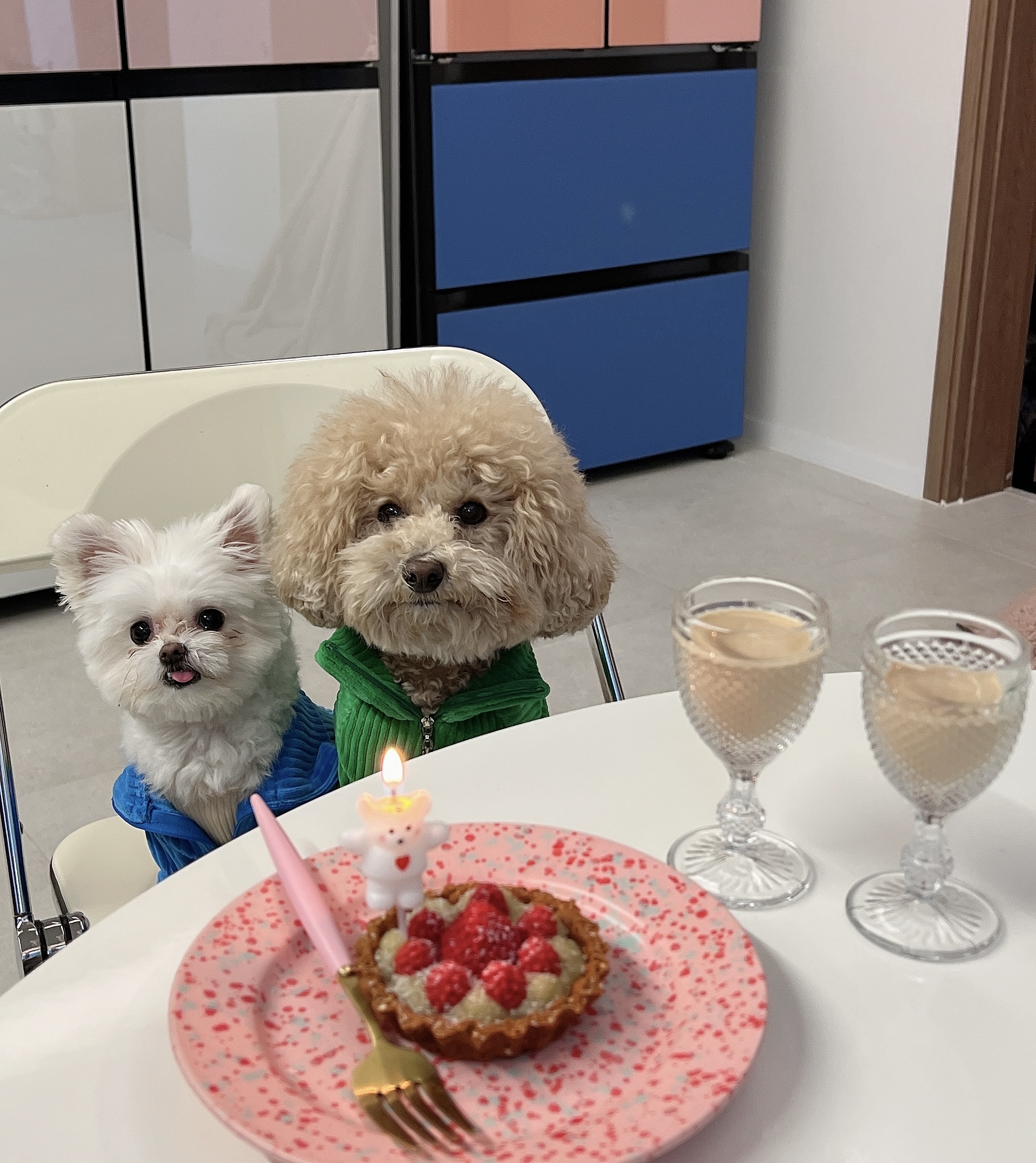 아산 나엘(구 가희)