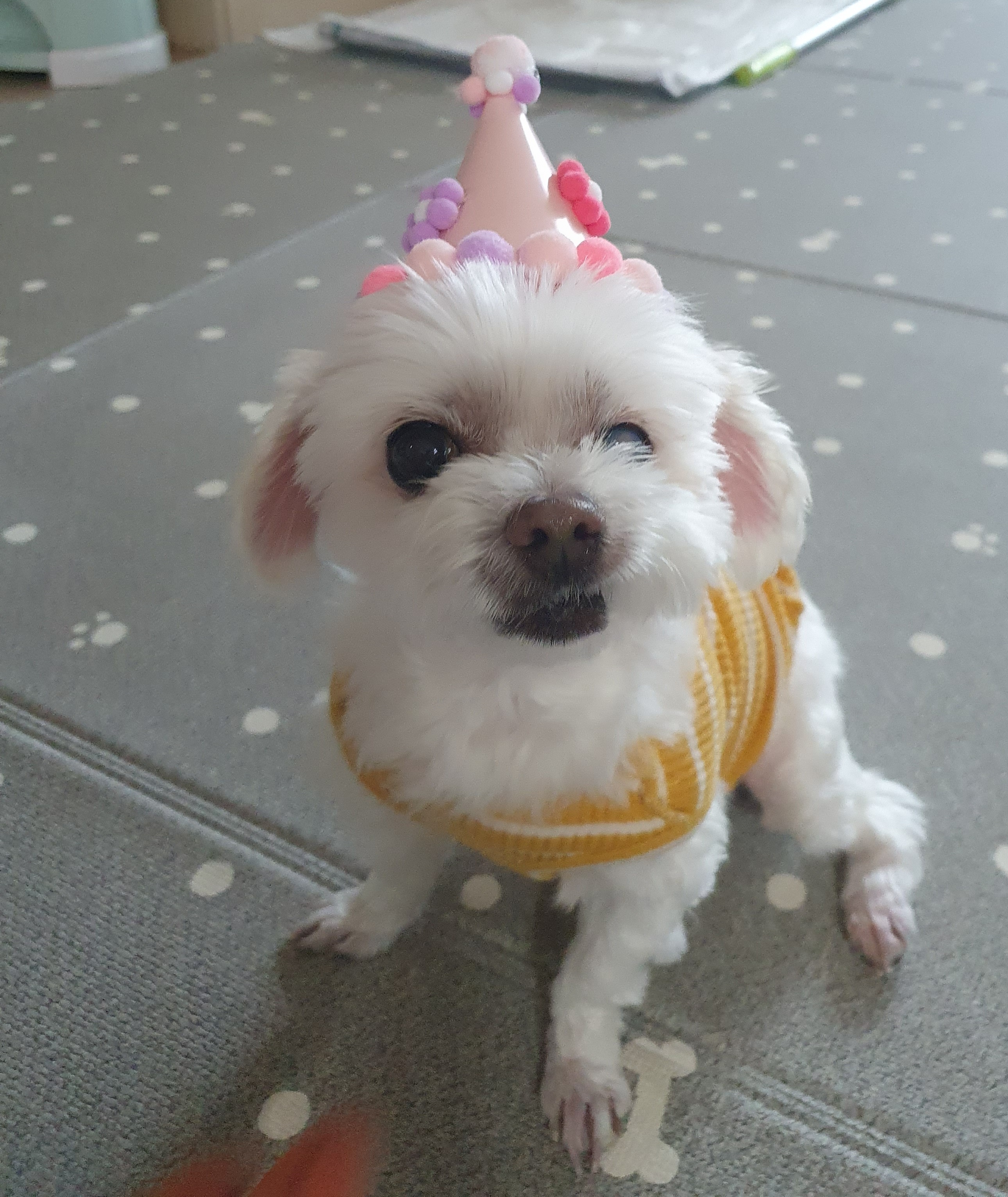 빈이 3년차후기입니다.