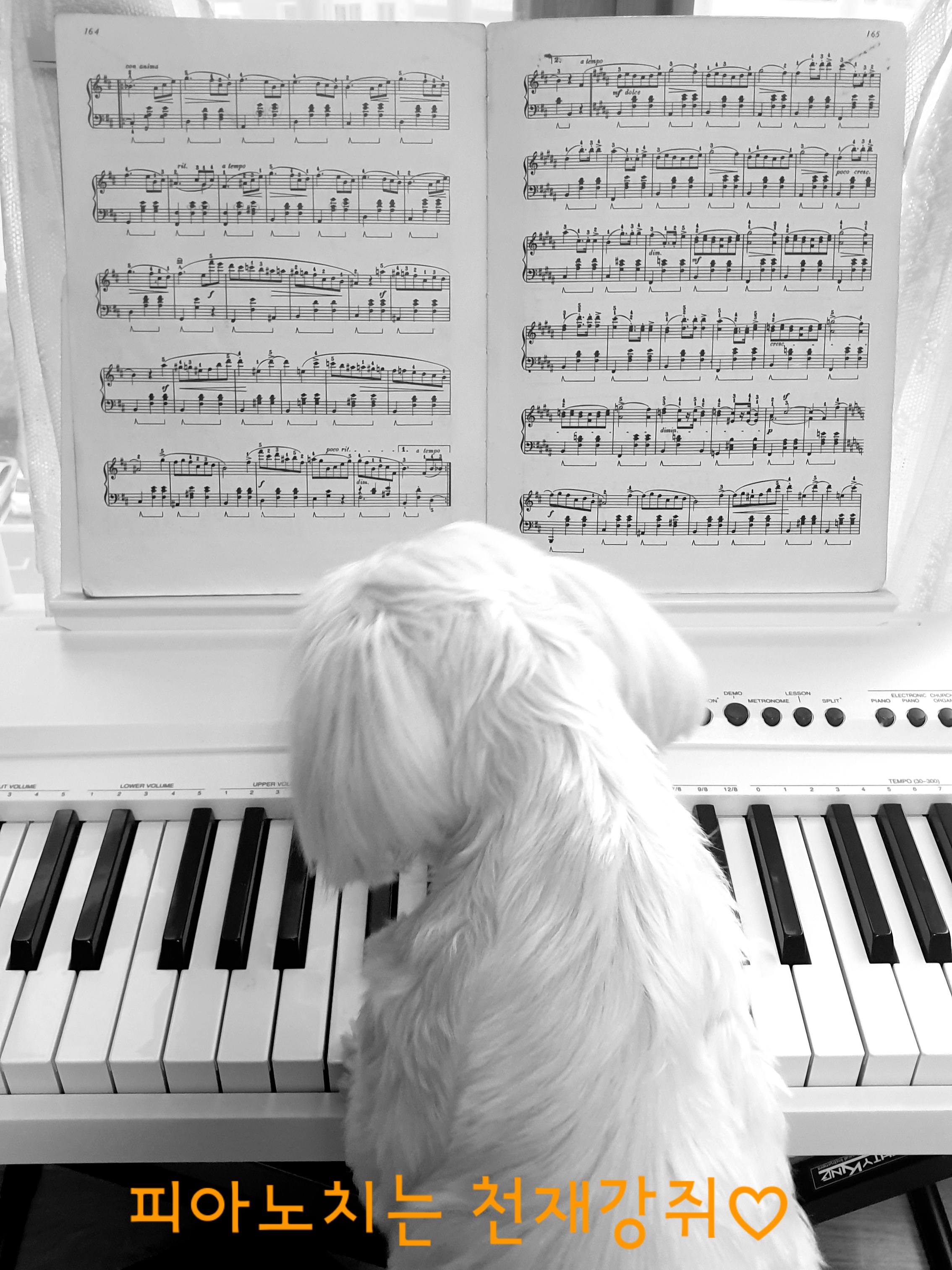 곤지암 청순이 2주년 근황