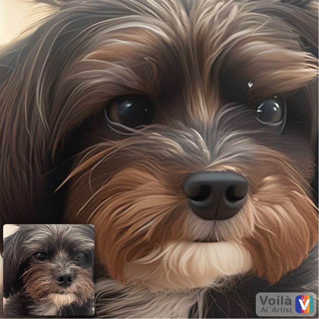 뽀일이 입양 3년 후기