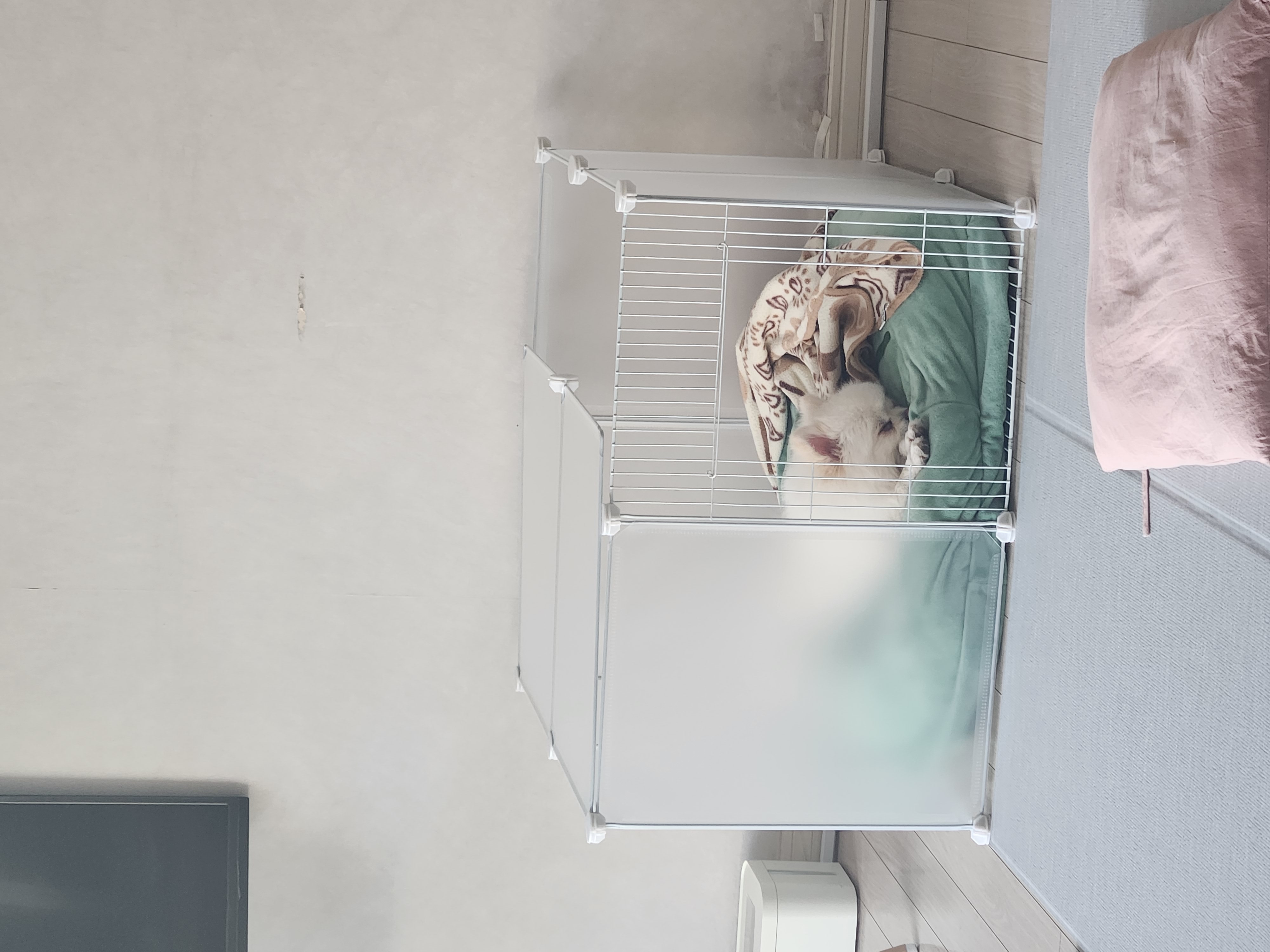 율무(시루) 입양3개월차~~