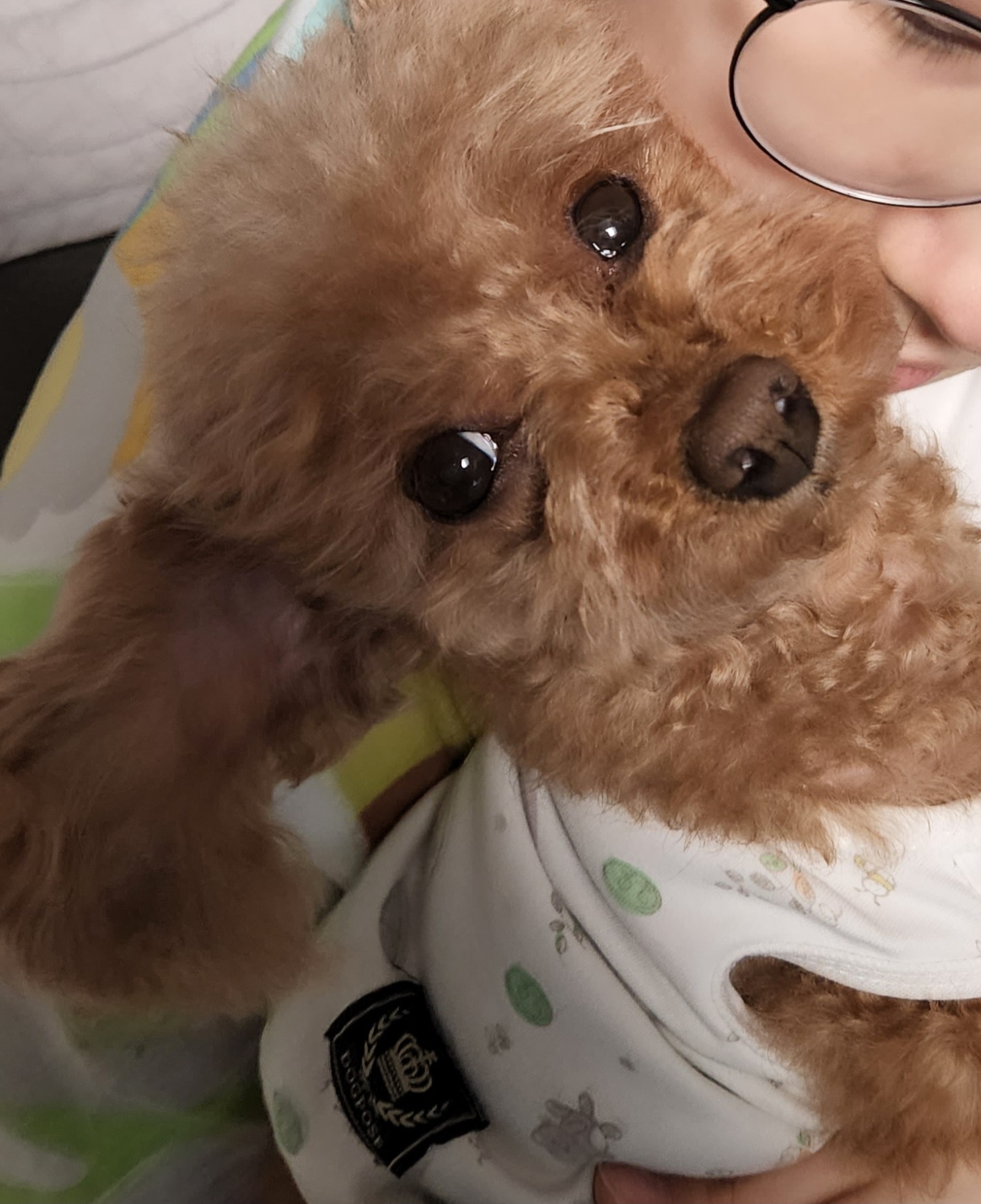 쪼리 온지 5년차 입니다!