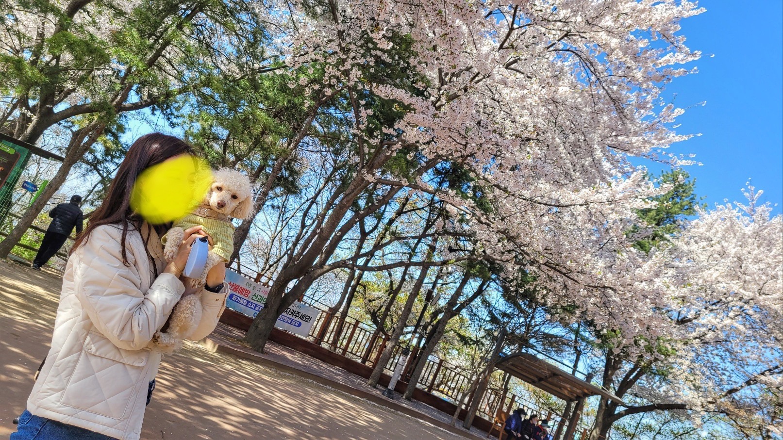 곤지암 구조견 해이에요~ 