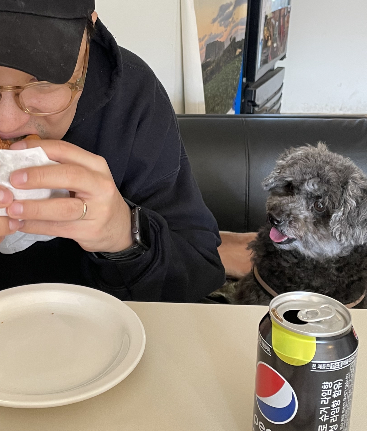 후추 입양 3년이 넘었네요~ (영천 불법 번식장 엔쵸)