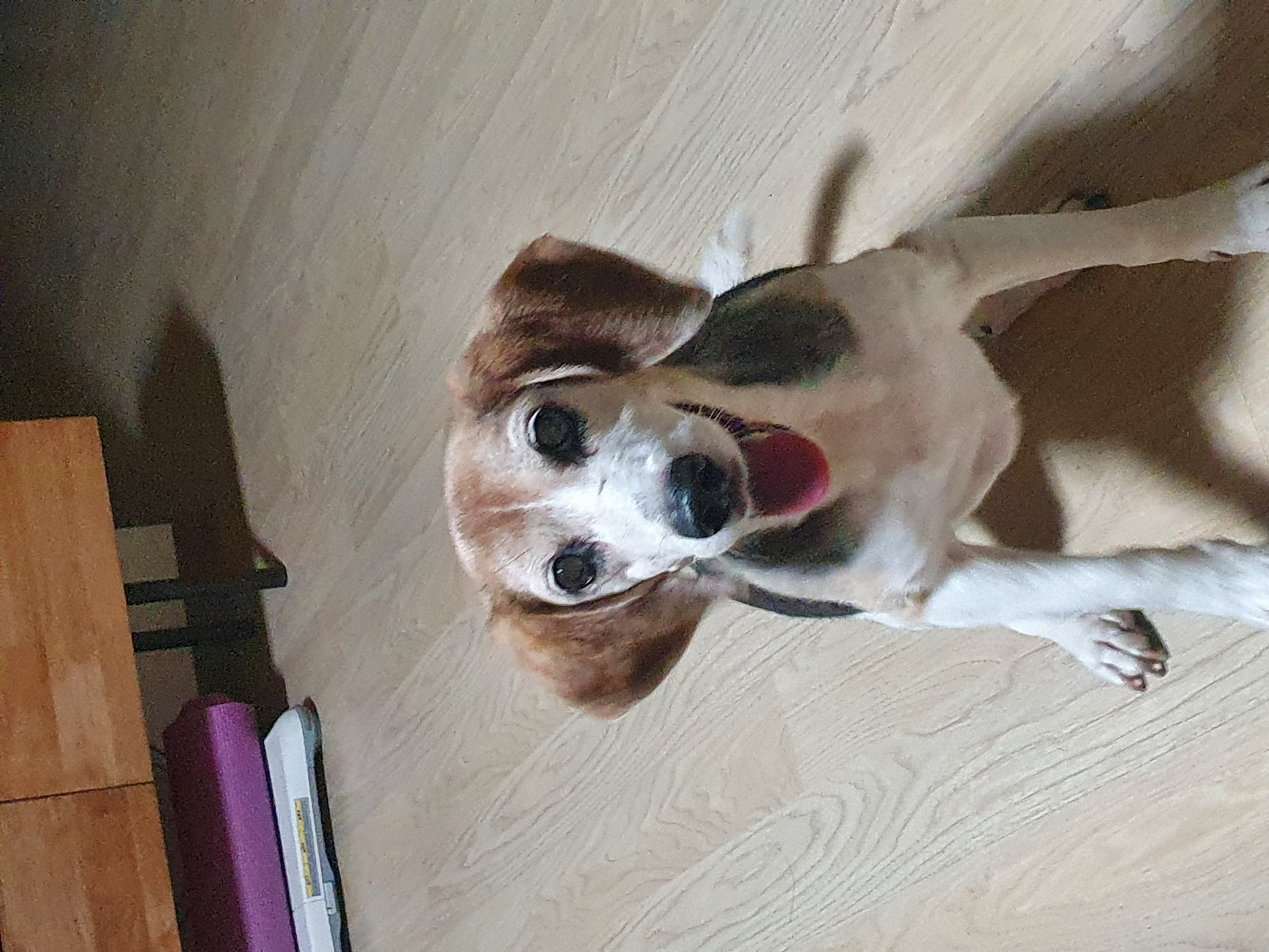 미키(루키아)의 8주년