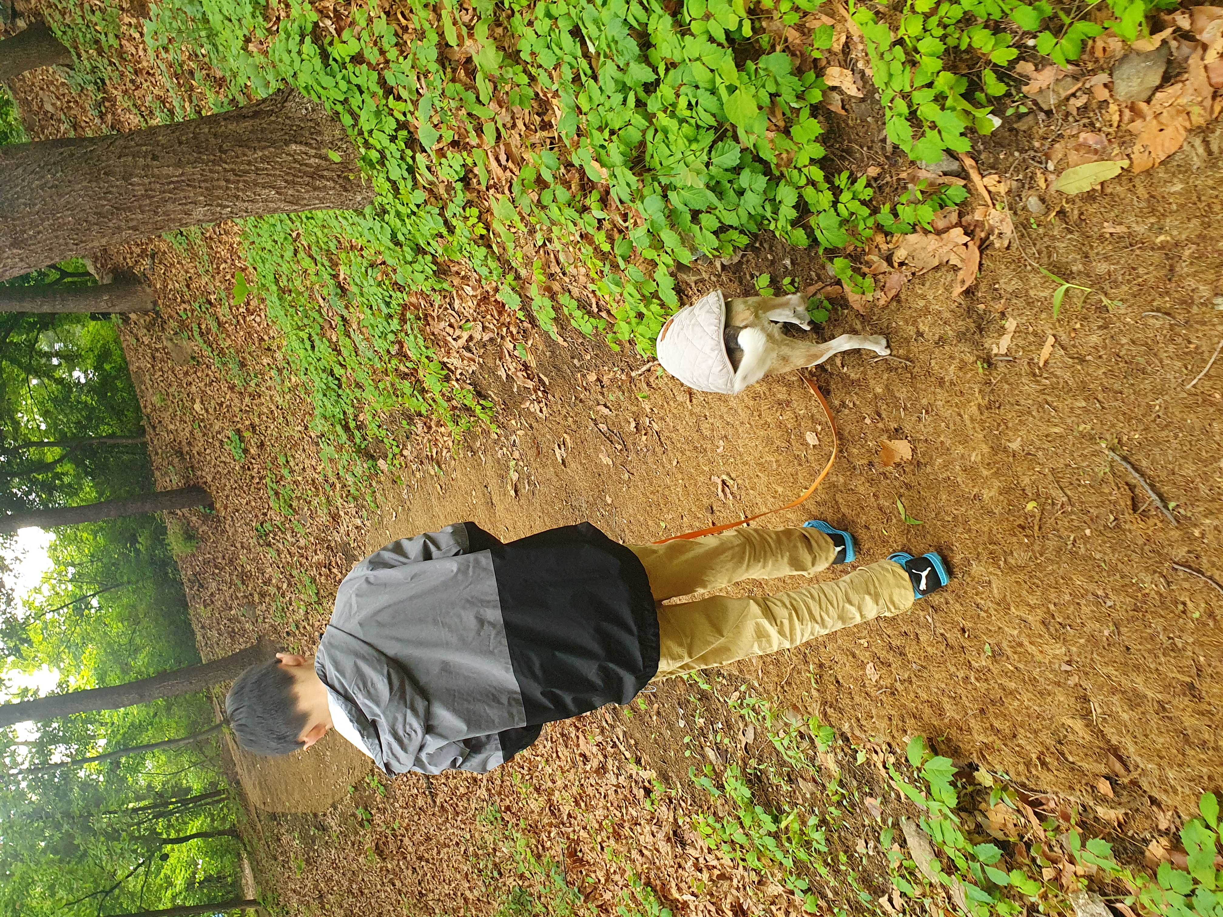 미키(루키아)의 8주년