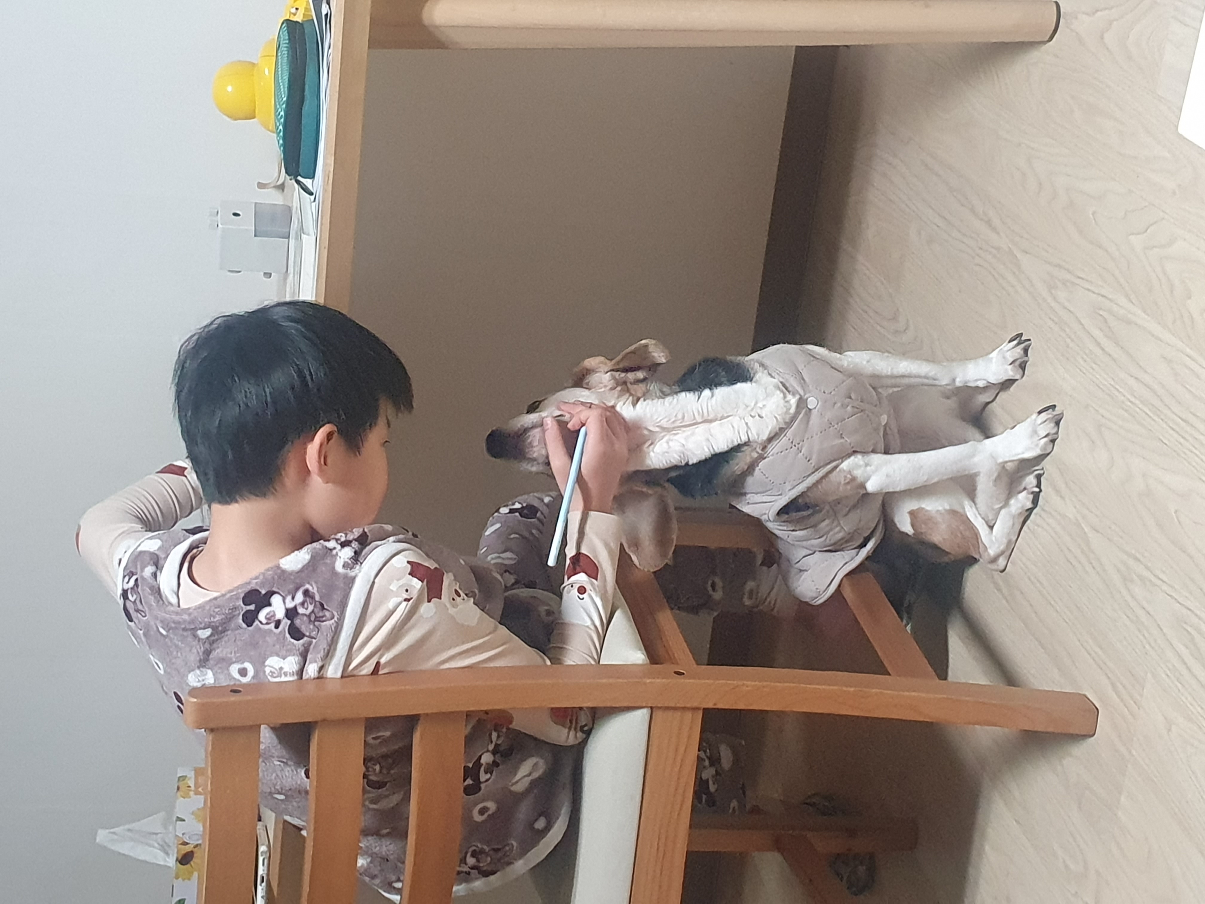 미키(루키아)의 8주년