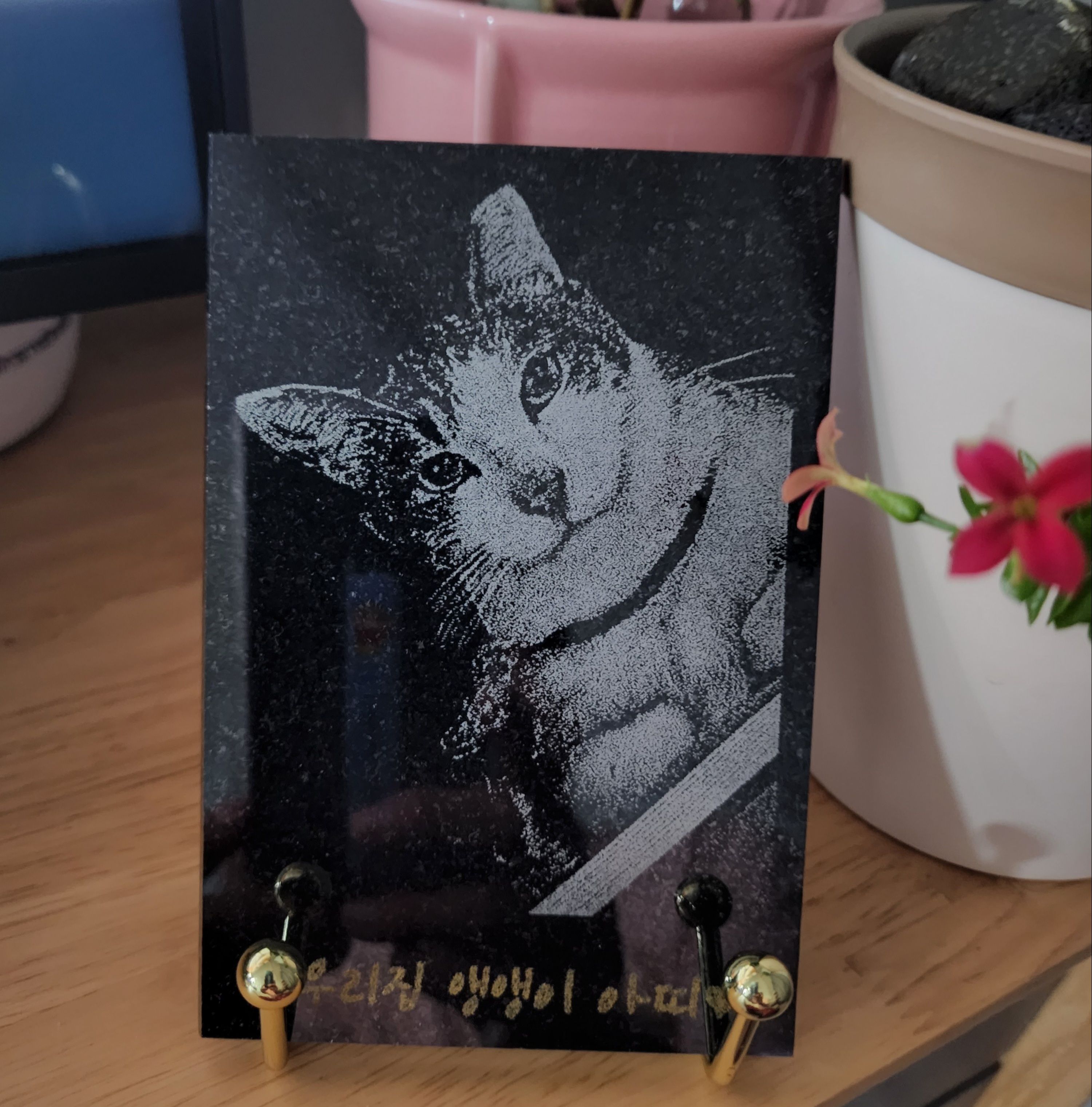 아띠 입양2주년에요~^^