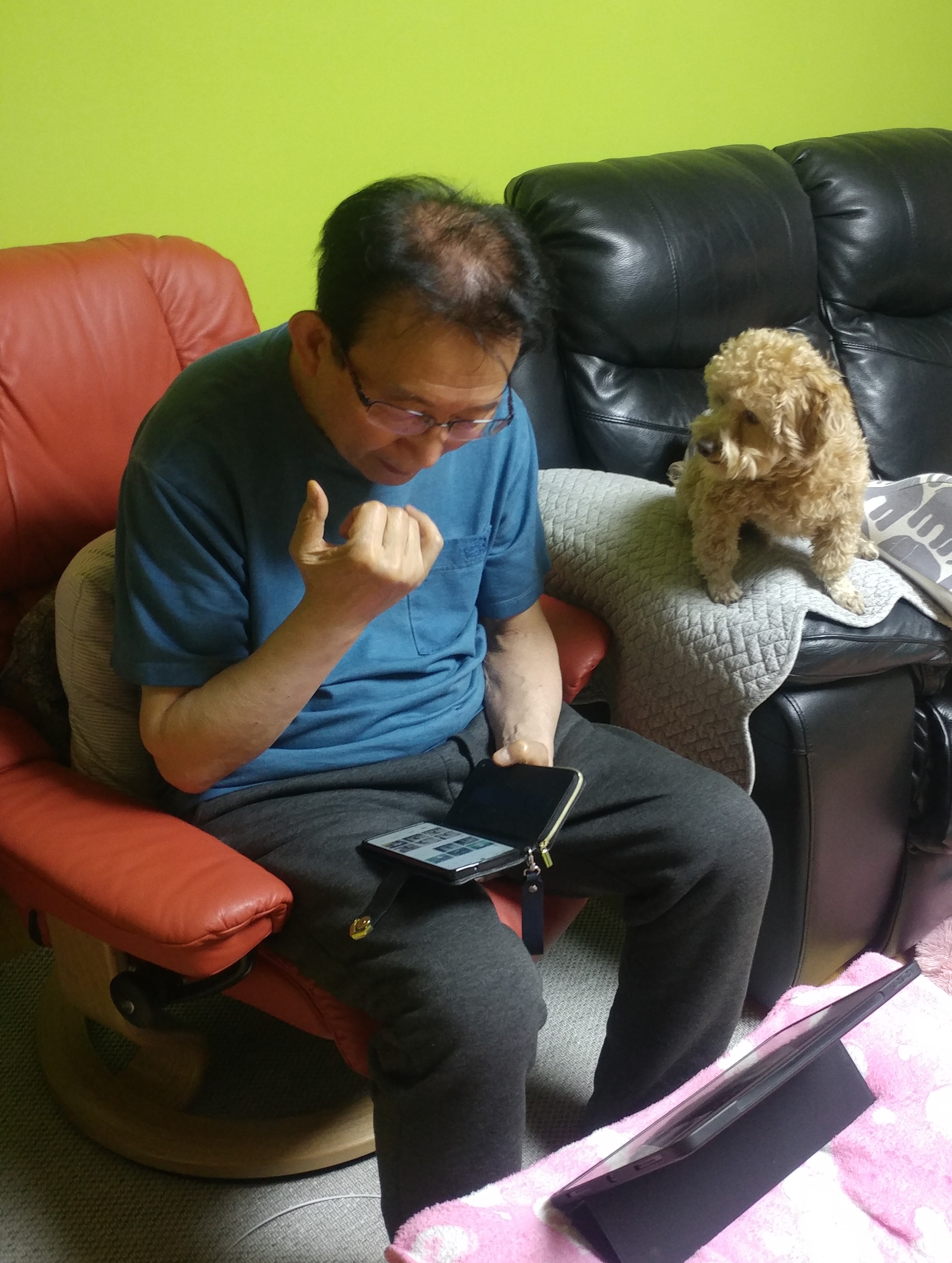 모아(론이) 입양 2개월차 이야기~