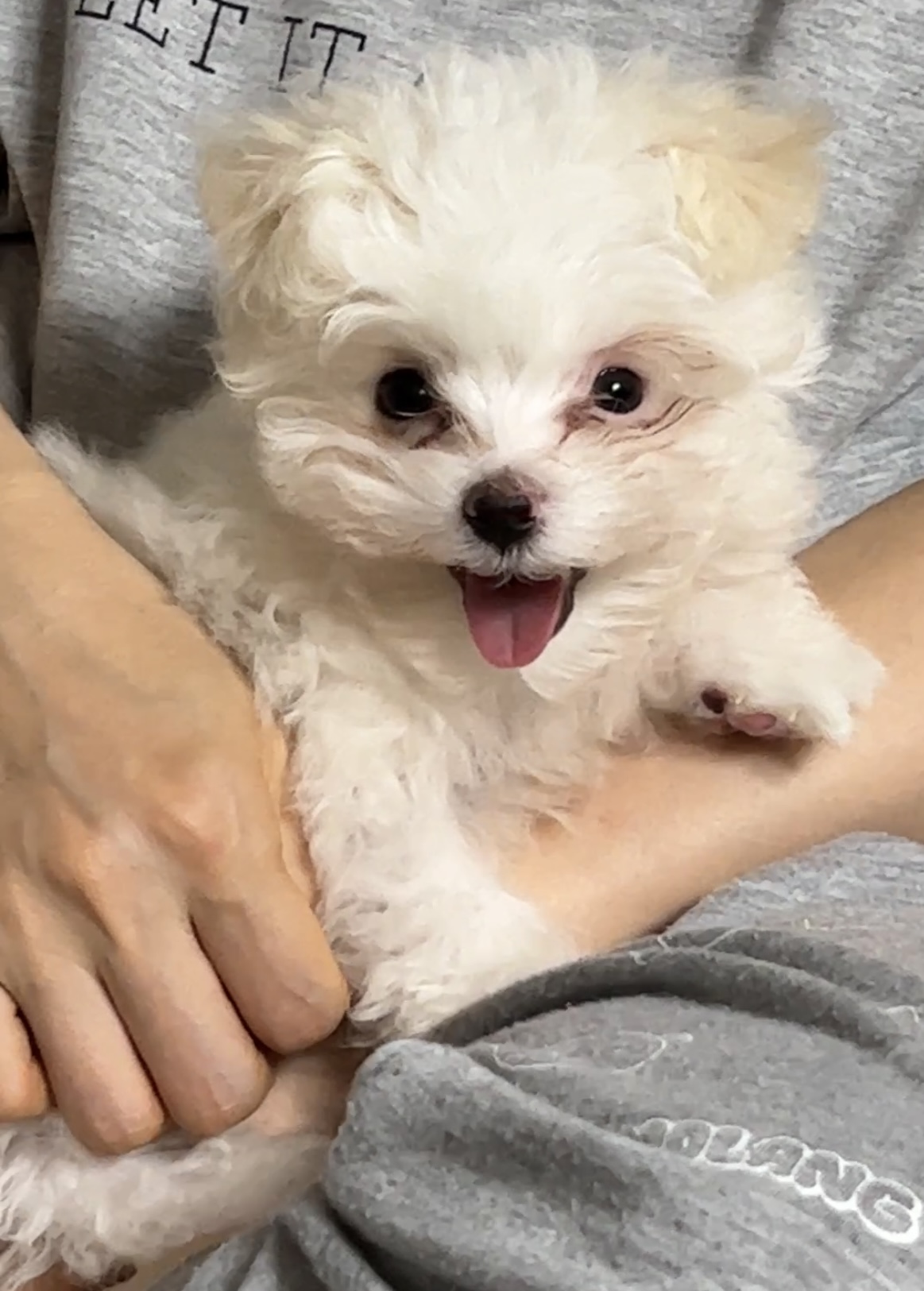 밥풀이 (다웅이) 한달 후기입니다~